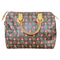 RARE Louis Vuitton x Takashi Murakami Speedy 25 Vintage Cherry on Monogram