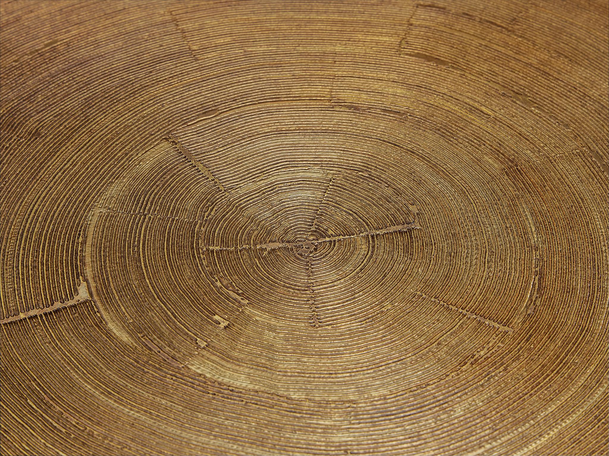 Rare Lova Creation Free Form Side Table in Etched Brass For Sale 4