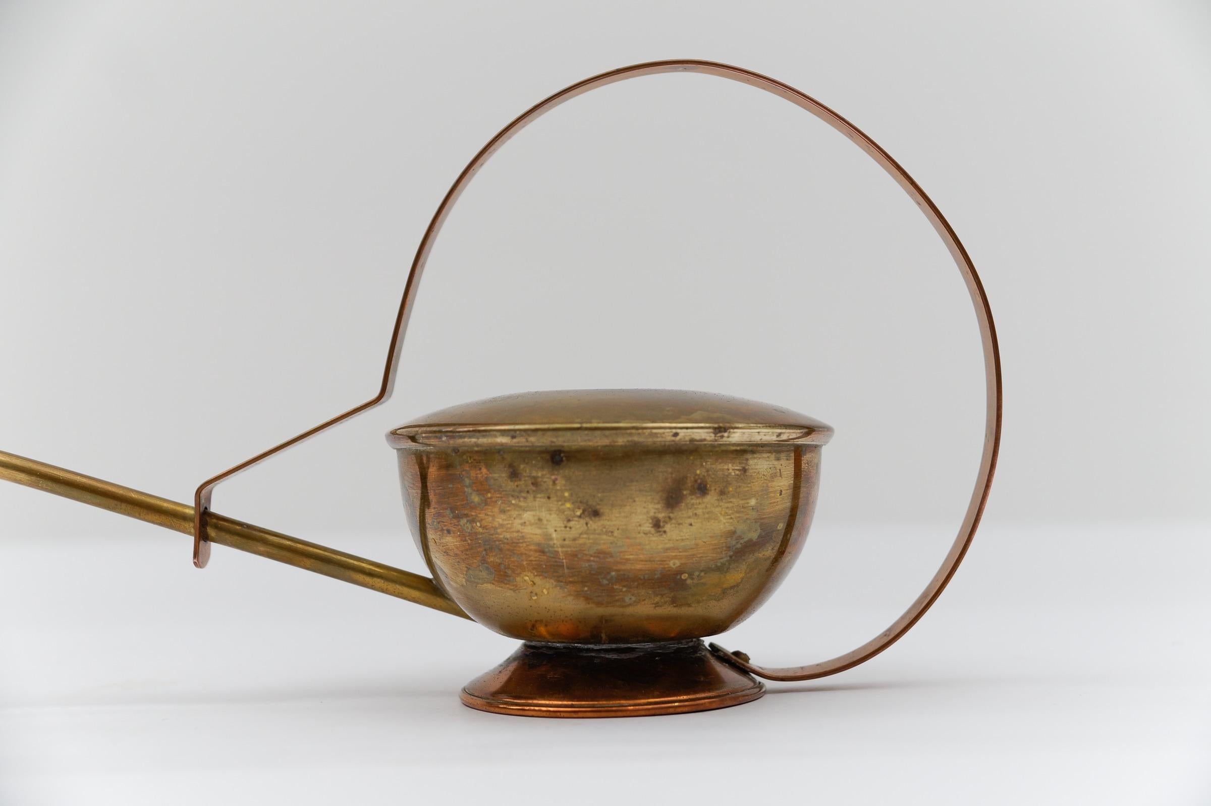 Ottone Raro e grazioso Can in ottone e rame, anni '50, Austria in vendita