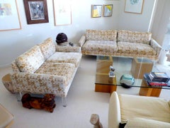 Rare Lucite Sofa and Loveseat by Thayer Coggin