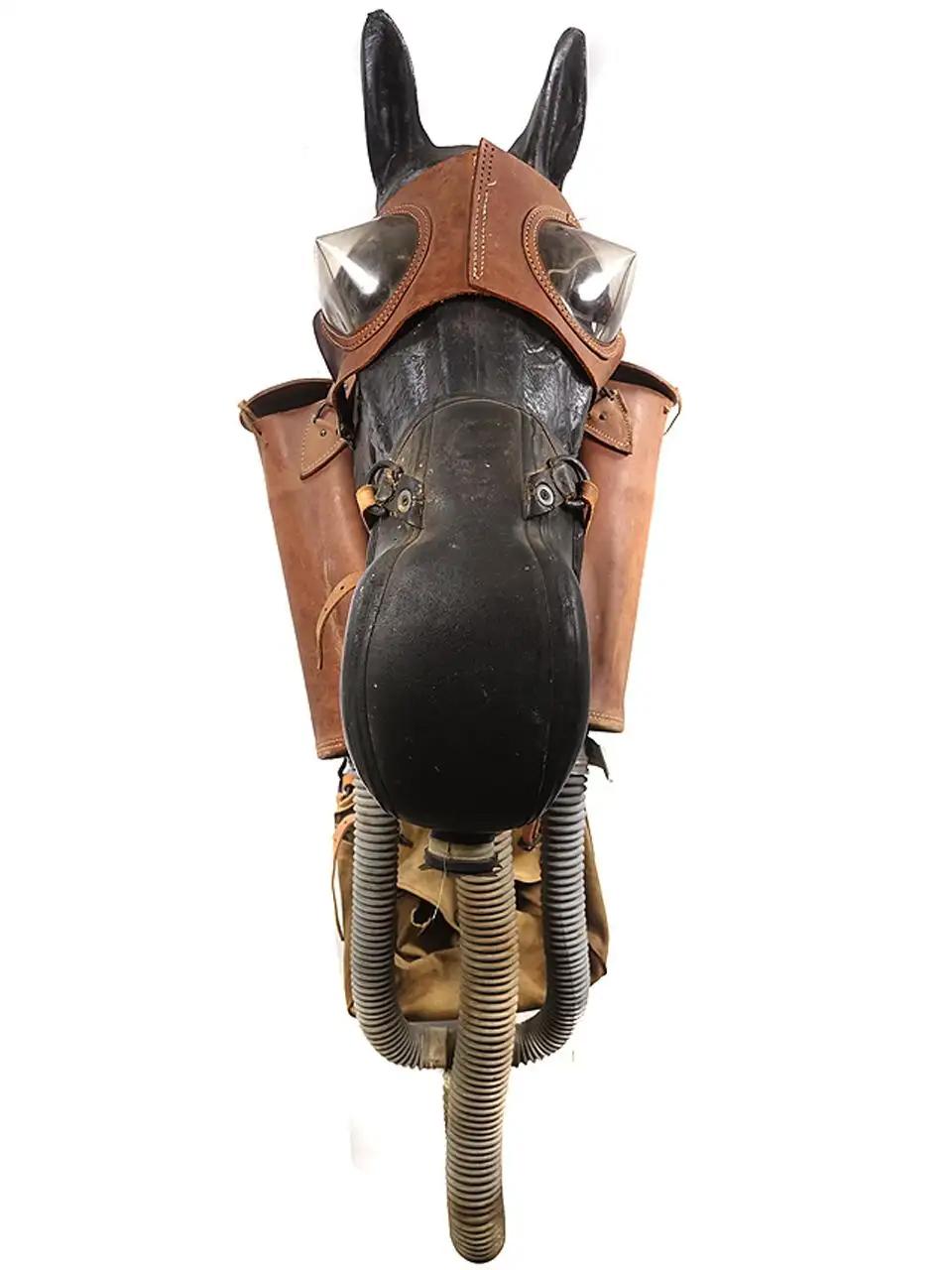 M4 US Government Army Issue World War II, Jahrgang 1941-1942 Pferdegasmasken sind sehr selten. Aufgrund ihrer Größe wurden die meisten nach dem Krieg ausrangiert. Gelegentlich taucht eines auf, aber die meisten sind unvollständig oder in schlechtem