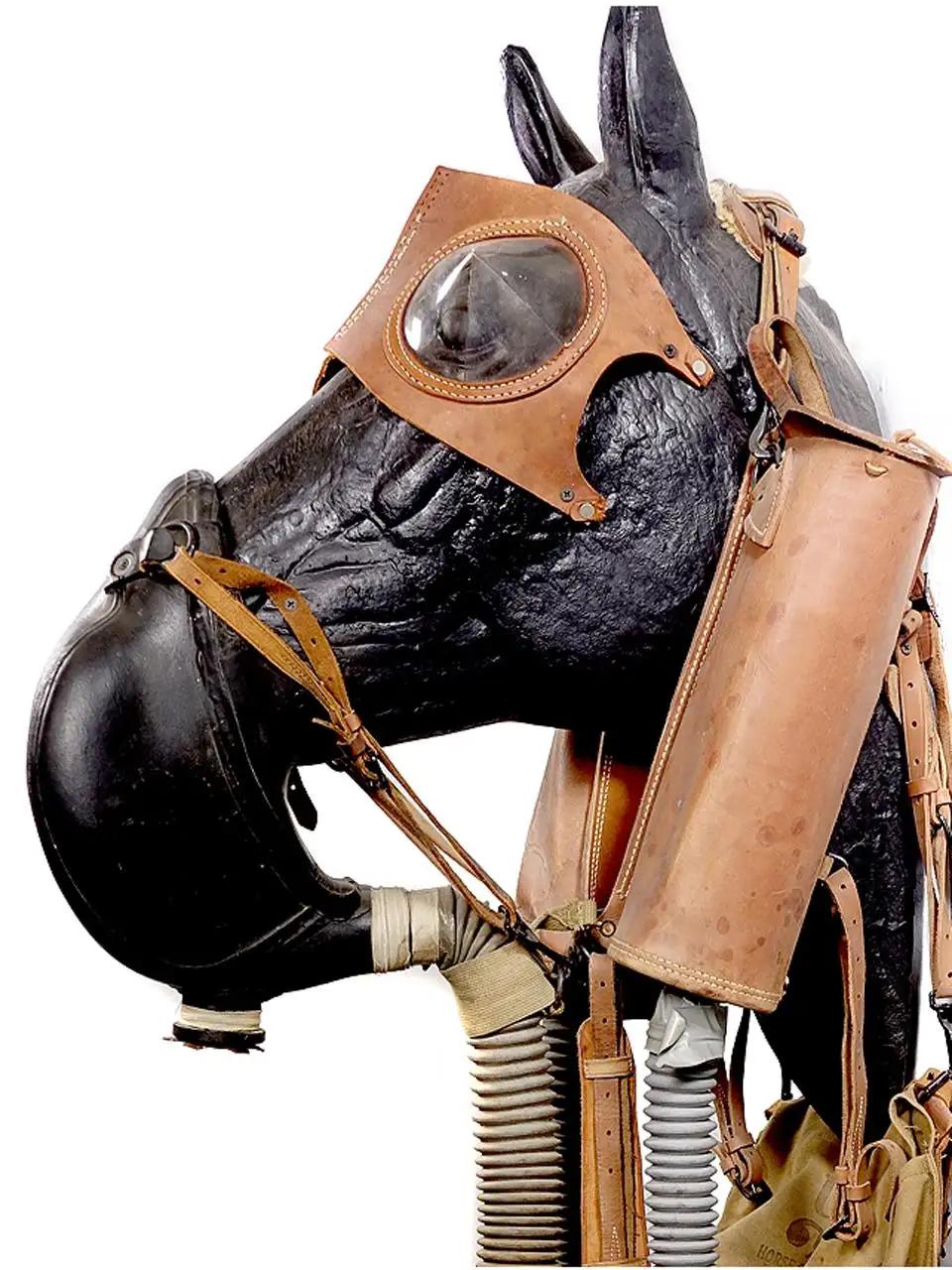 Industrial Rare M4 Leather WWII Horse Gas Mask For Sale