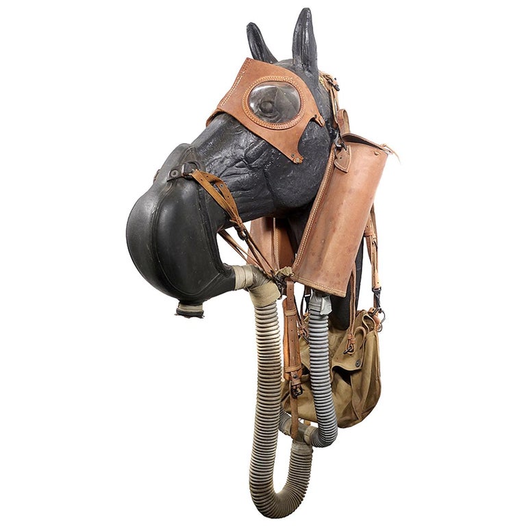 Rare M4 Leather WWII Horse Gas Mask For Sale at 1stDibs