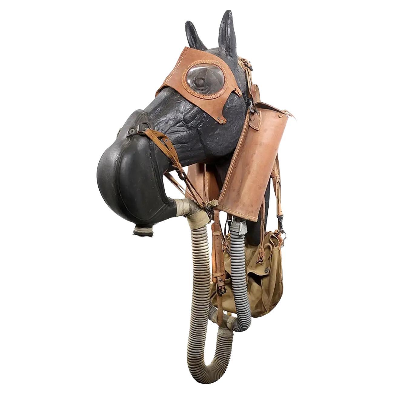 Seltene M4 Leder WWII Pferd Gasmaske im Angebot