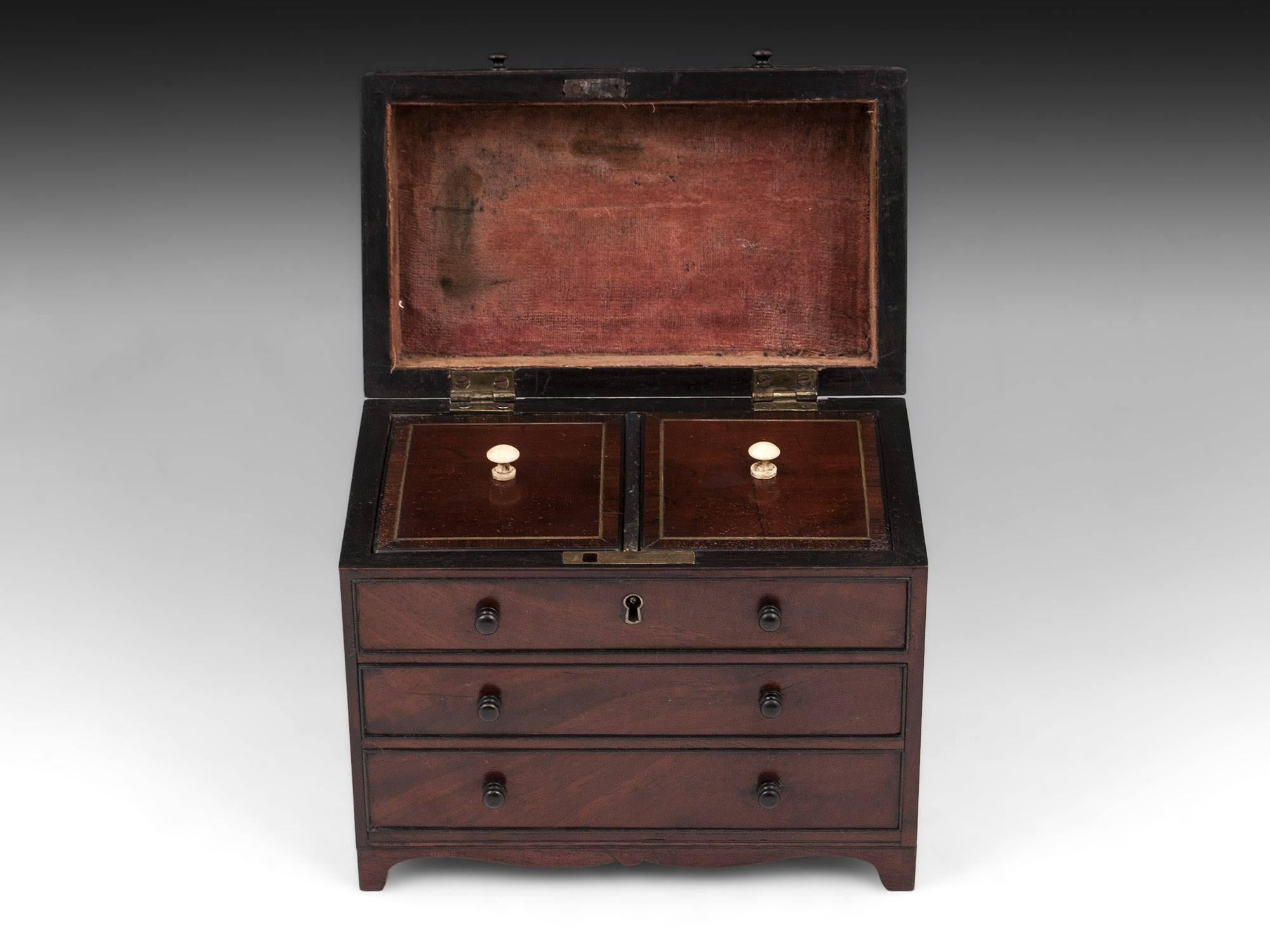 William IV Rare Mahogany Chest of Drawers Tea Caddy, 19th Century For Sale