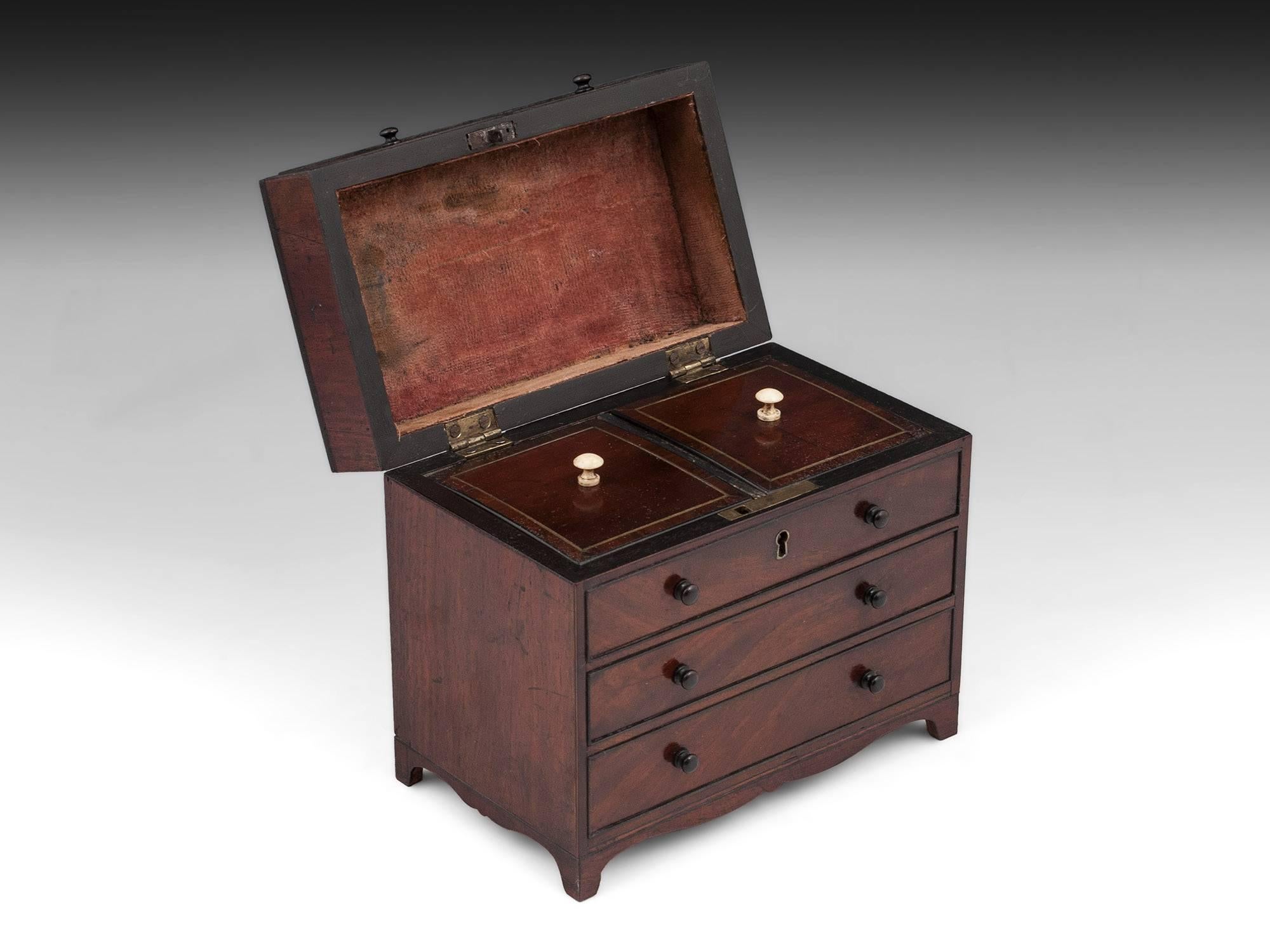 British Rare Mahogany Chest of Drawers Tea Caddy, 19th Century For Sale