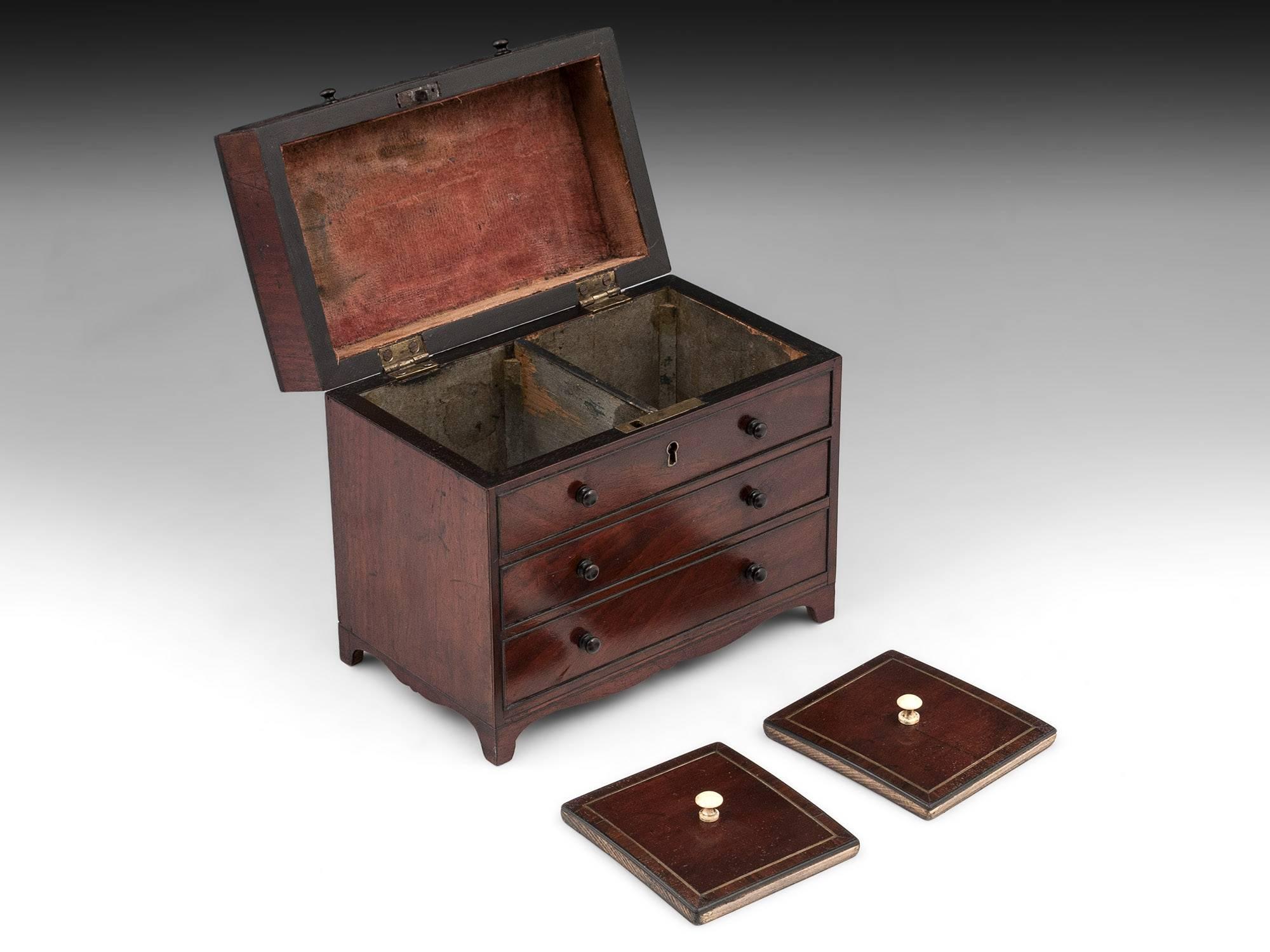 Rare Mahogany Chest of Drawers Tea Caddy, 19th Century In Good Condition For Sale In Northampton, United Kingdom