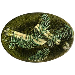 Rare Majolica Asparagus Platter with Fern Clairefontaine, circa 1880