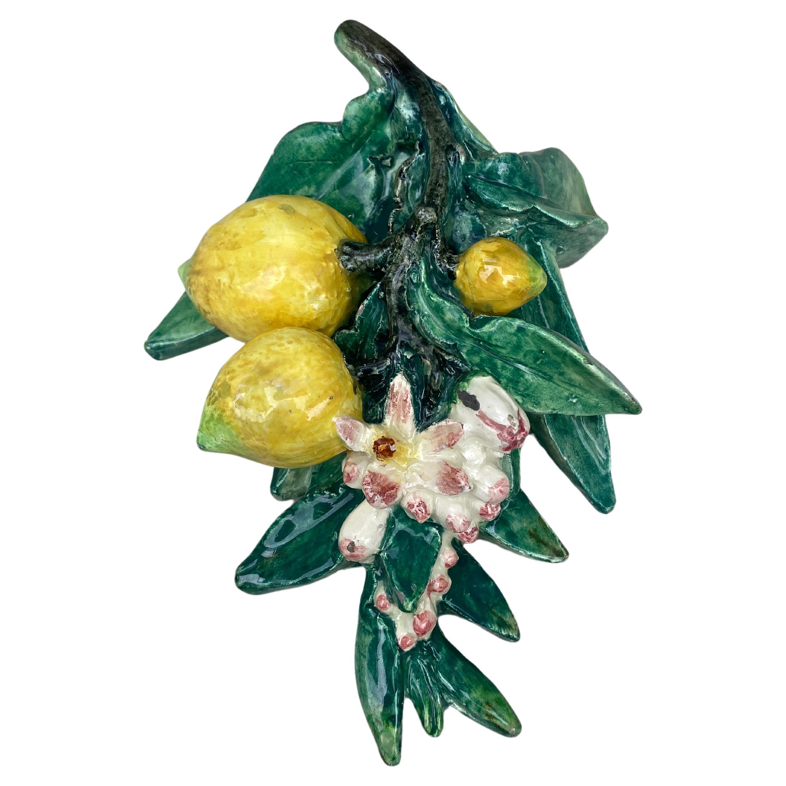 Rare Majolica lemons applique signed Delphin Massier, circa 1890.
The Massier family produced several examples of wall decorations as animals, flowers more rarely fruits.