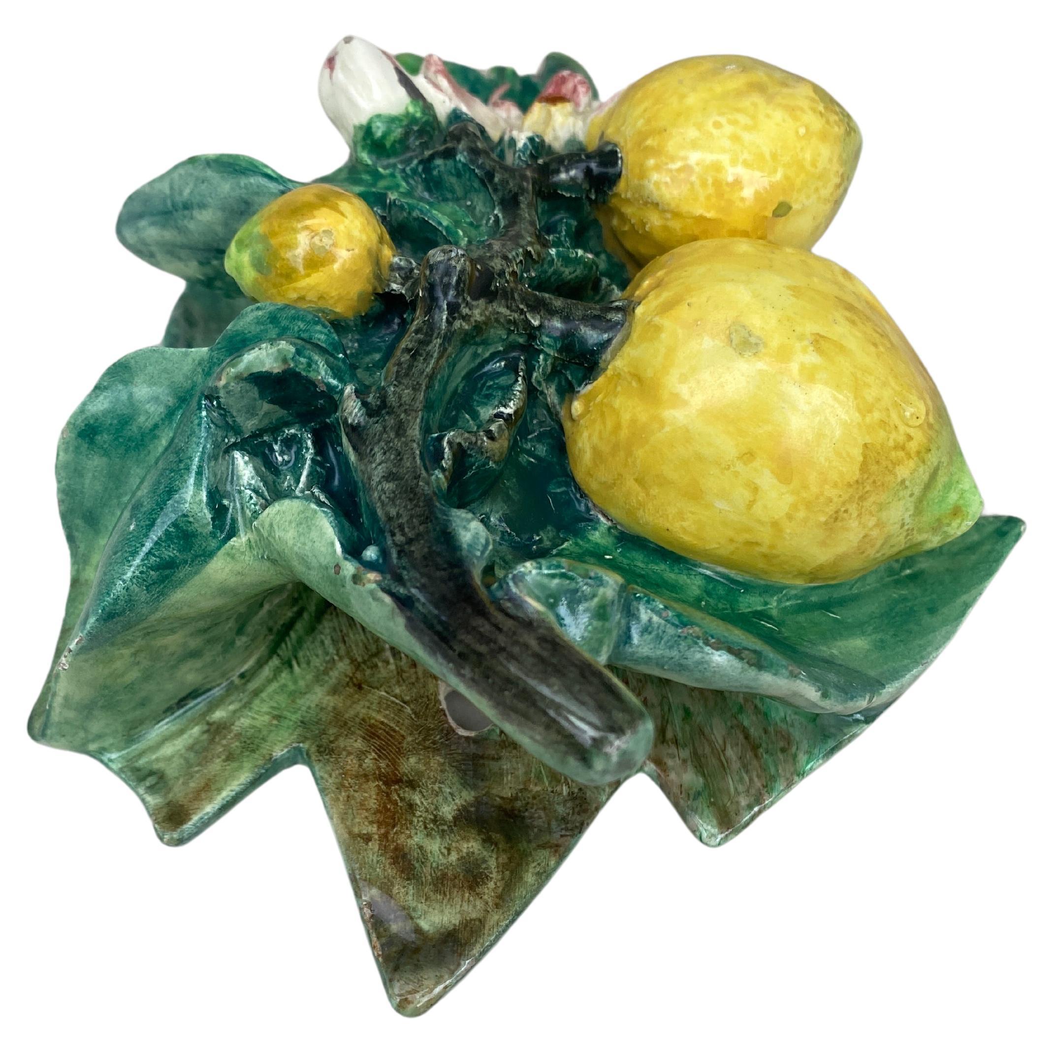 French Rare Majolica Lemons Applique Delphin Massier, circa 1890 For Sale