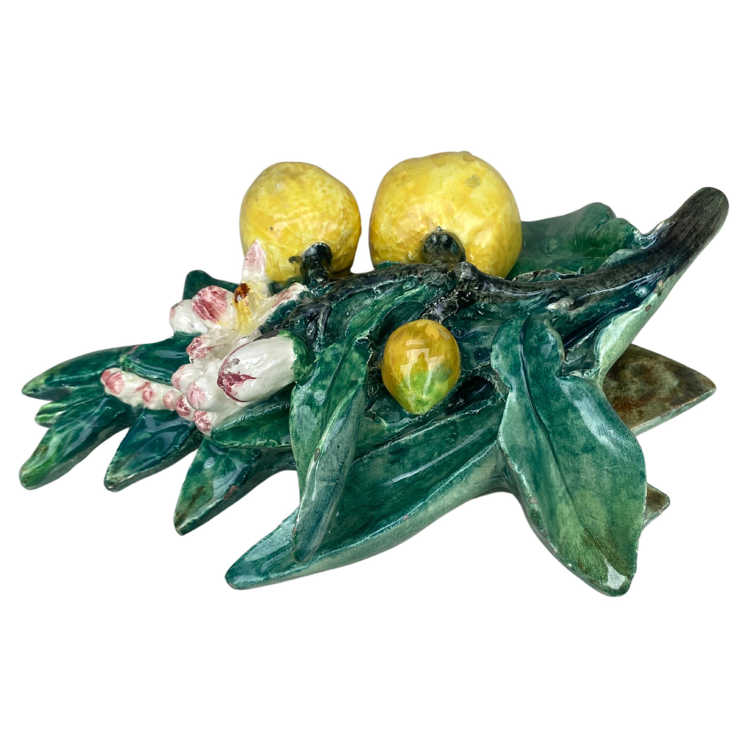 Raro aplique de mayólica de limones Delphin Massier, hacia 1890 en Bueno estado para la venta en Austin, TX
