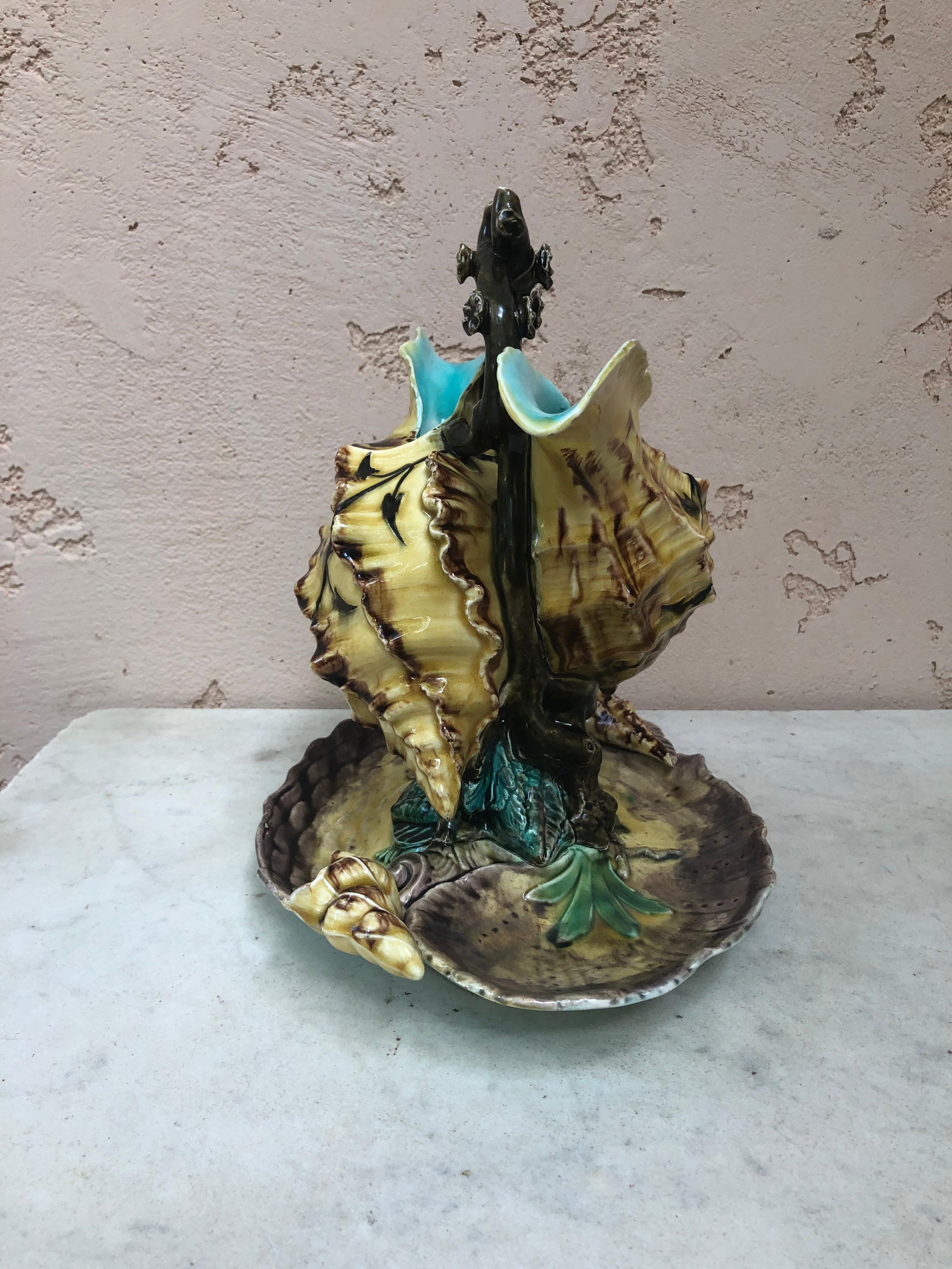 French Rare Majolica Shell Ewer Vase Luneville, Circa 1880 For Sale