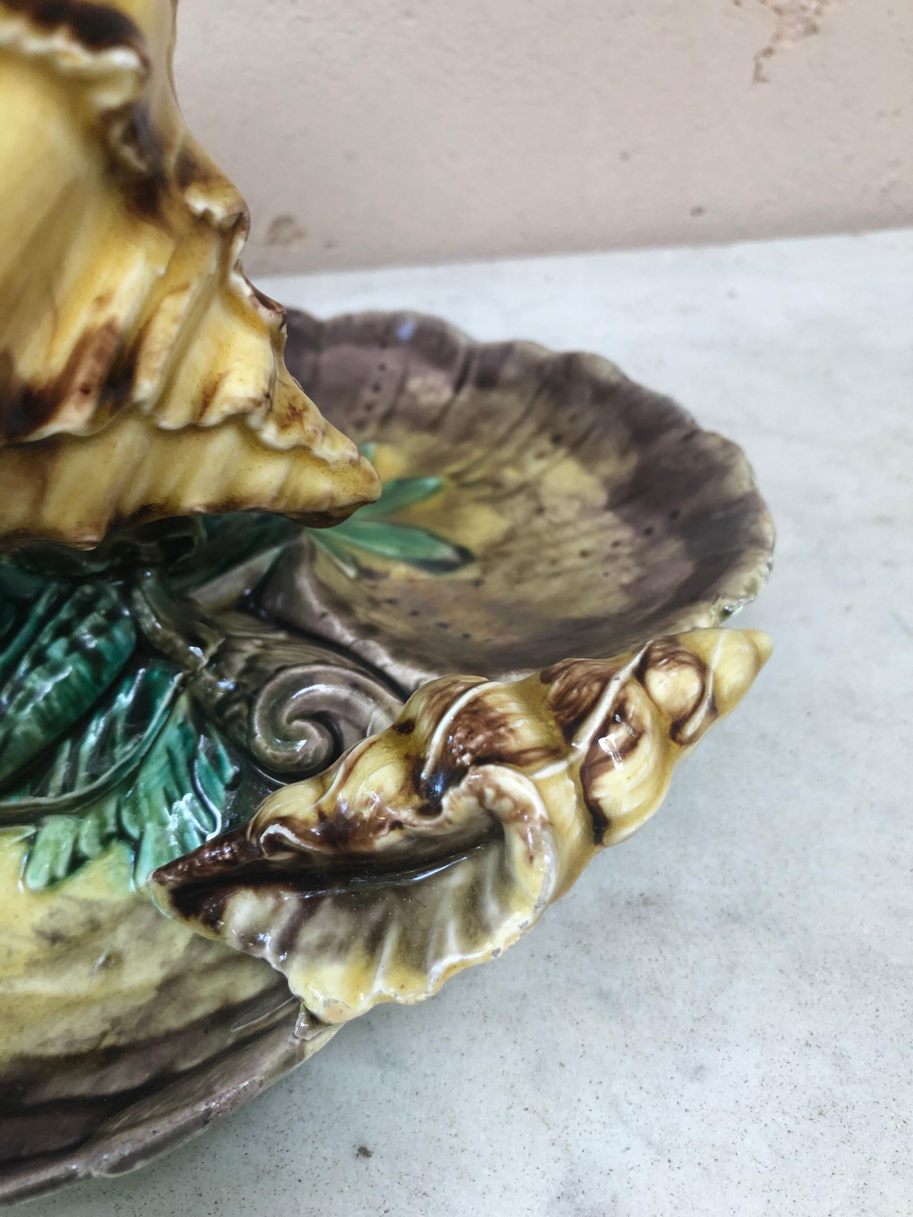 Late 19th Century Rare Majolica Shell Ewer Vase Luneville, Circa 1880 For Sale