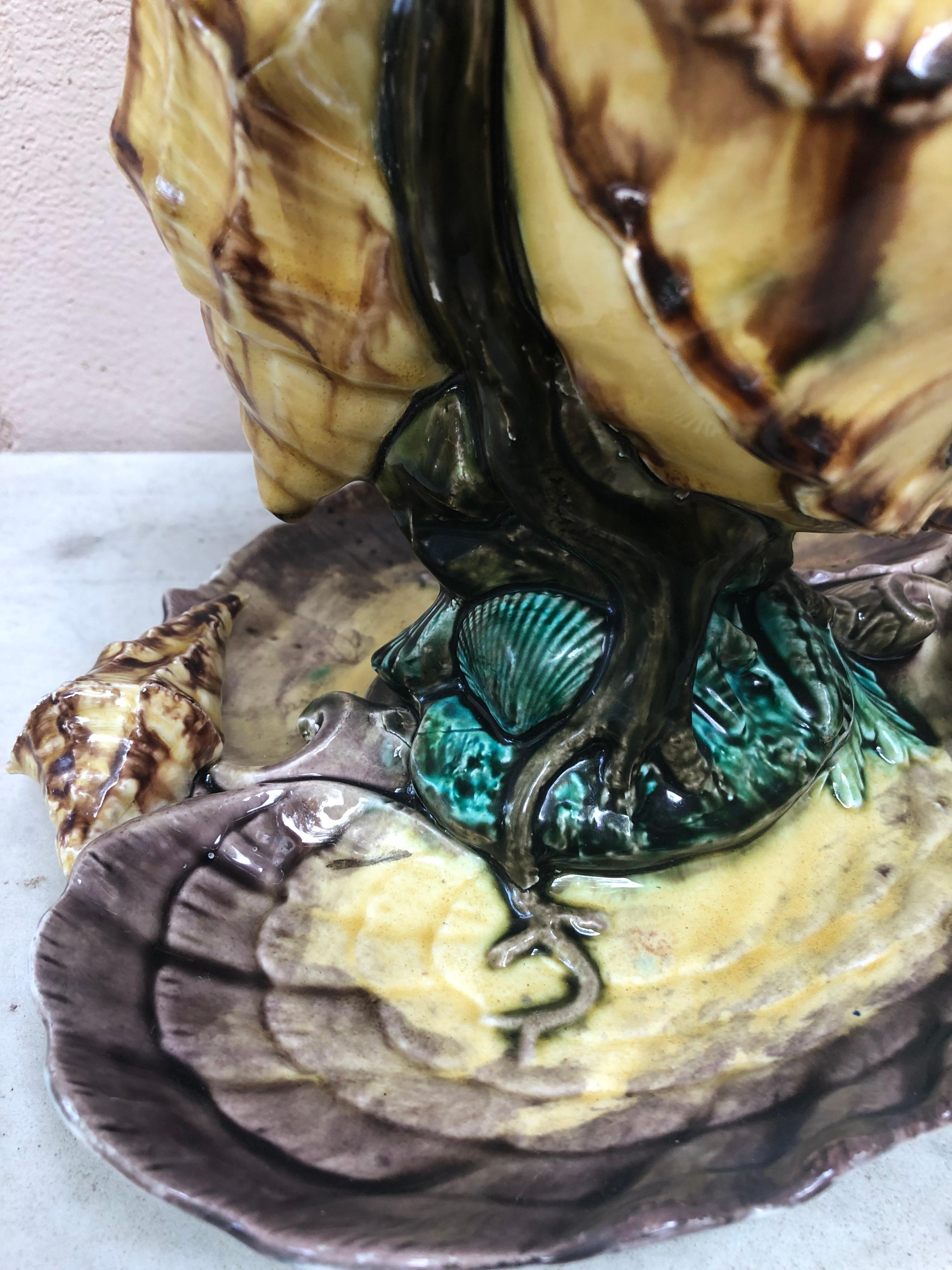 Rare Majolica Shell Ewer Vase Luneville, Circa 1880 For Sale 1