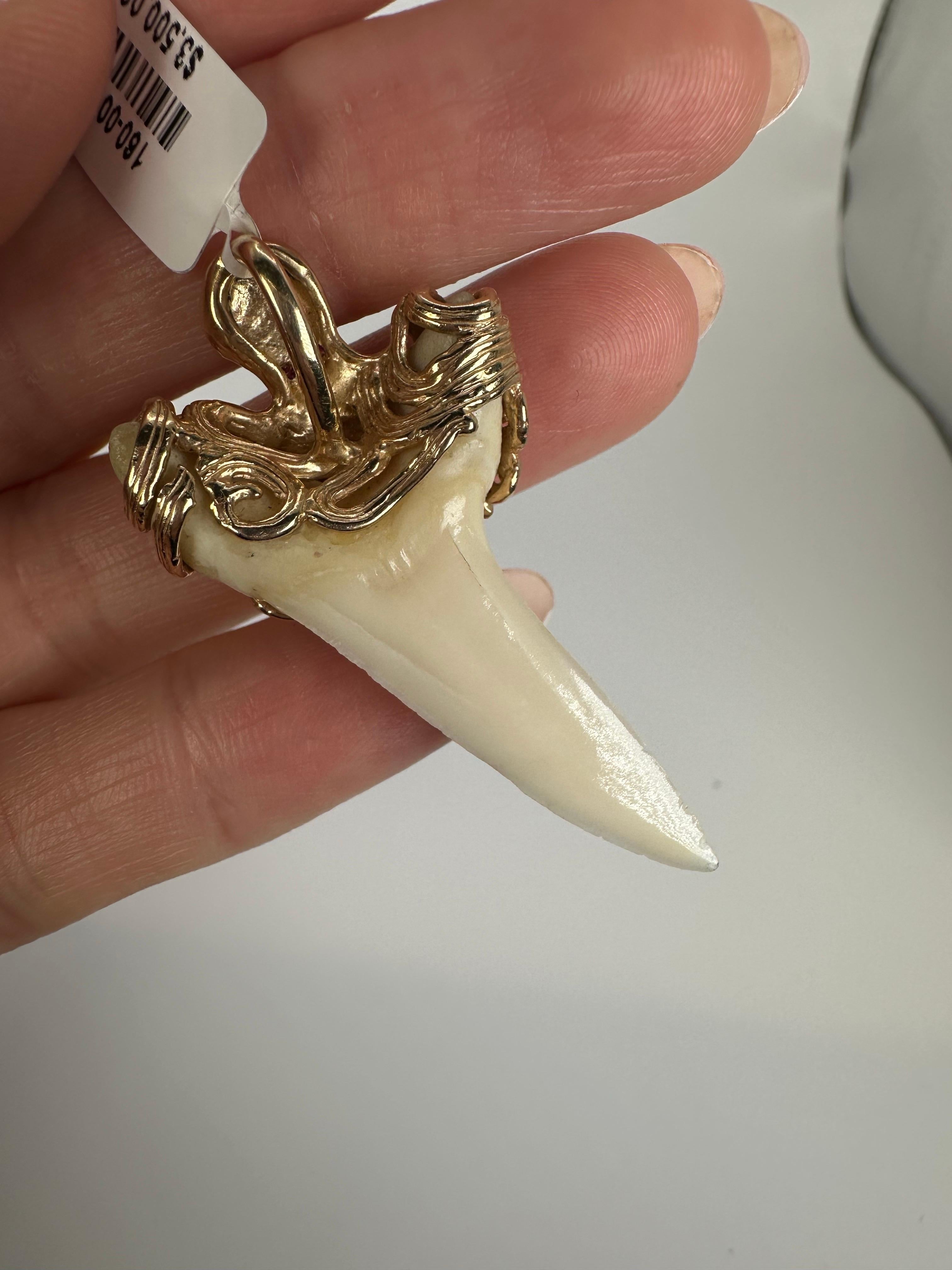 Raro ciondolo a forma di dente di squalo Mako in oro 14KT Grande dimensione in vendita 2