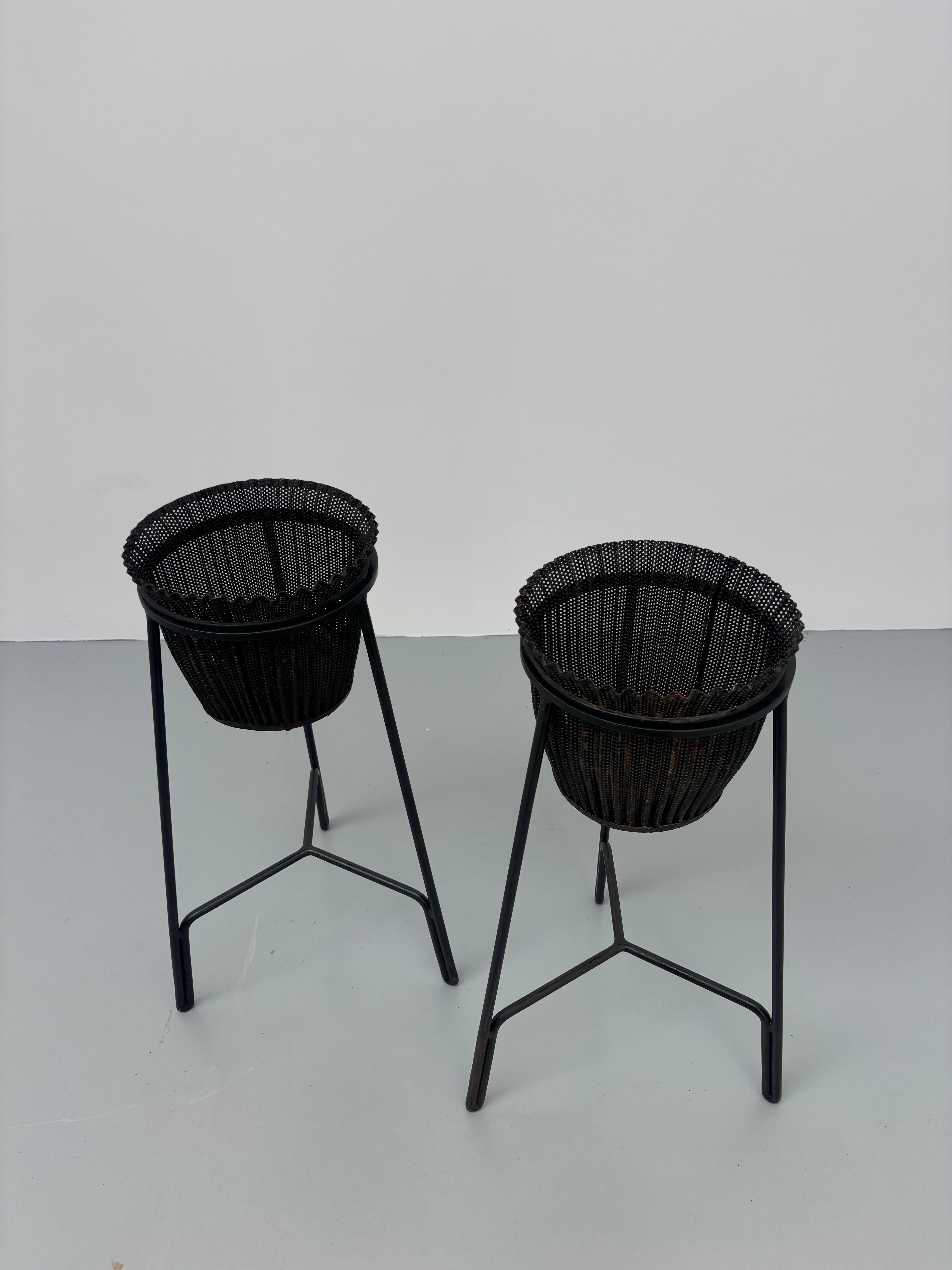 Mid-Century Modern Rare Mathieu Matégot jardinieres For Sale
