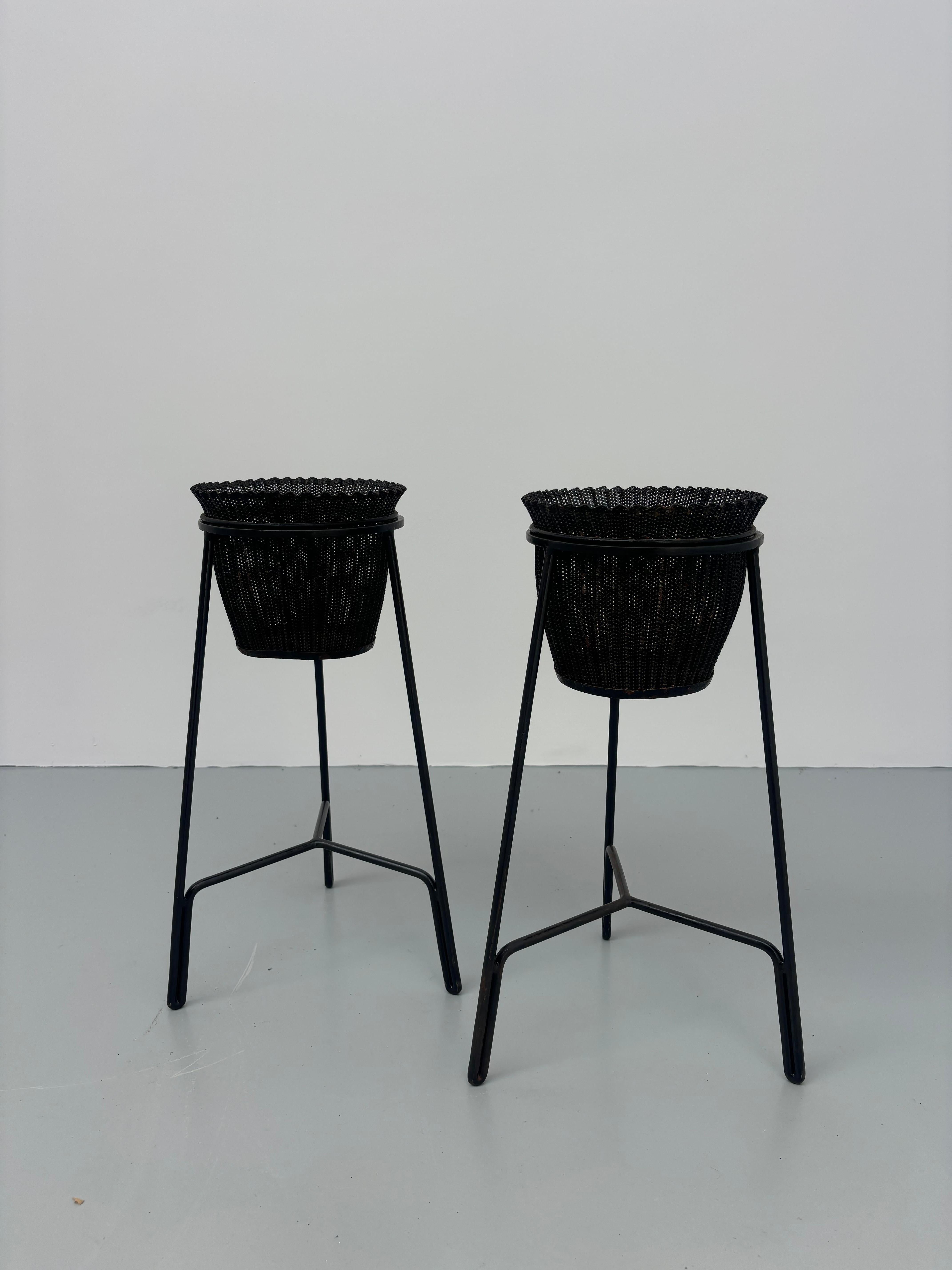 Mid-20th Century Rare Mathieu Matégot jardinieres For Sale