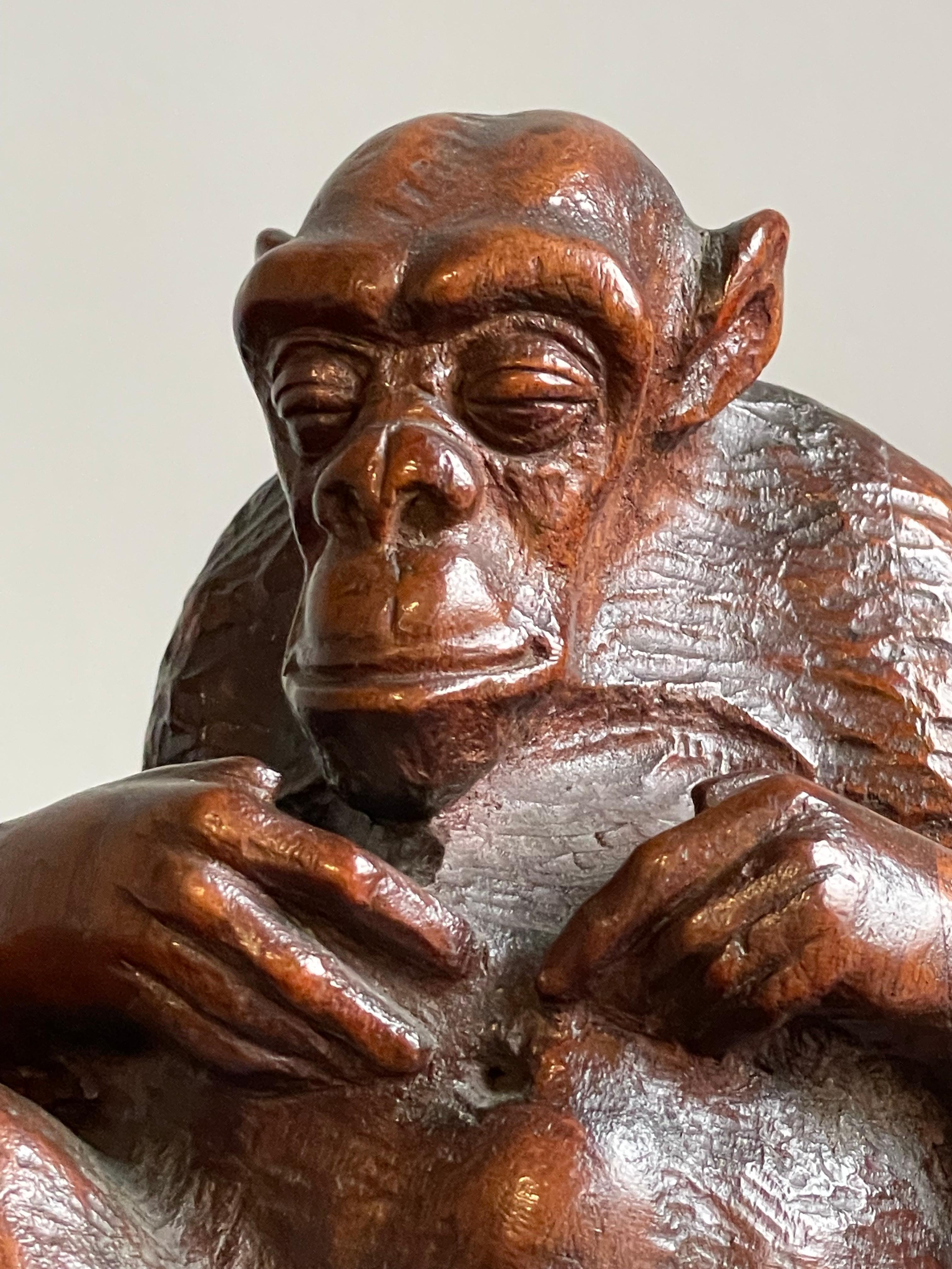 This marvelous and meaningful antique chimp is beautiful for many reasons.

This rare and delightful chimpanzee sculpture puts a smile on everybodies face, but he also is impressive because of the quality of the carving and meaningful too. The