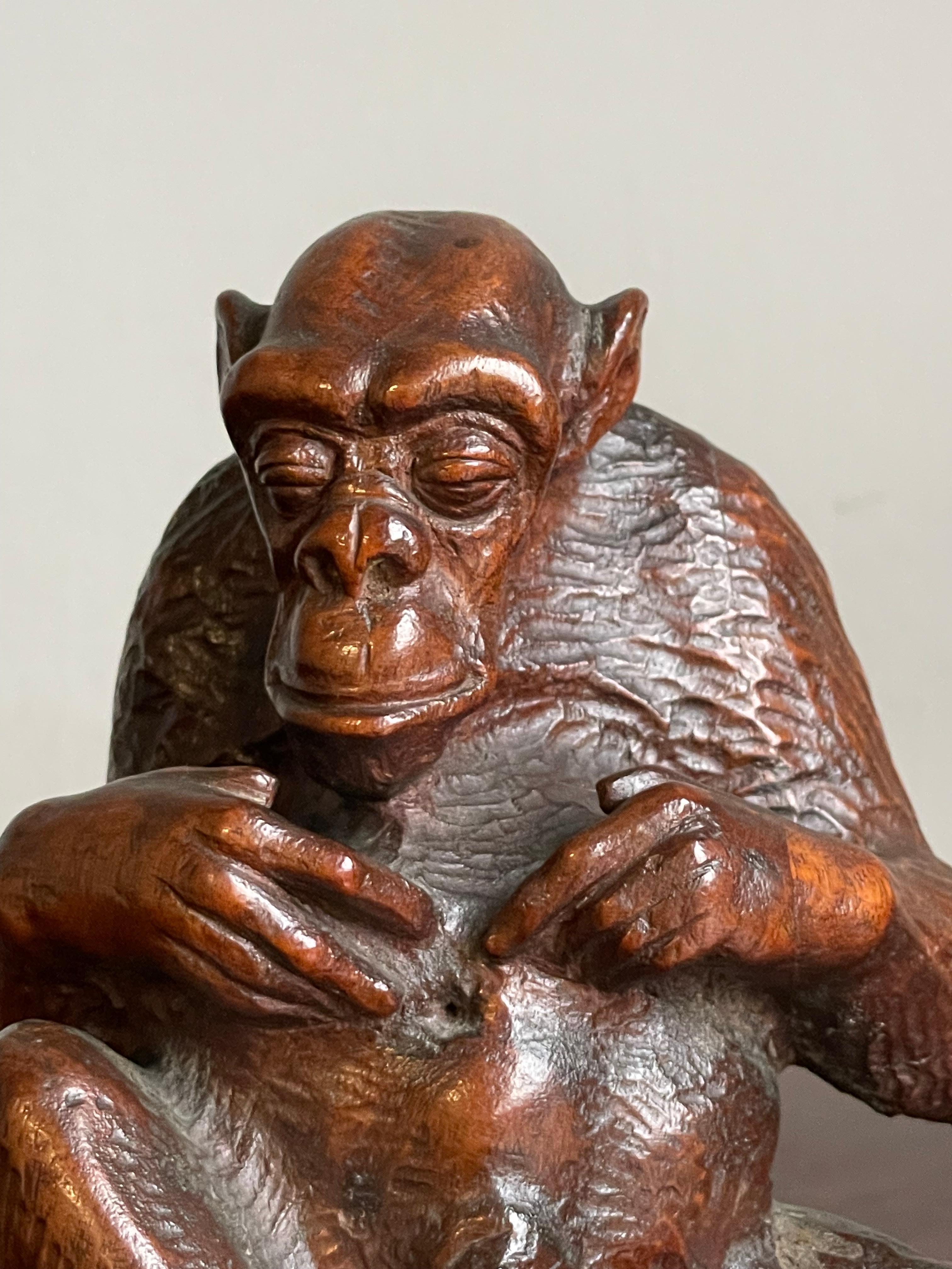 Seltene und wunderbare antike handgeschnitzte Chimpanzee-Skulptur aus Nussbaumholz, Navel Gazing (Europäisch) im Angebot