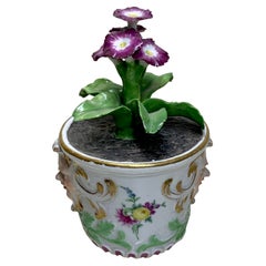 Rare Meissen Marcolini Flower Plant in a Tub circa 1780 Porcelain