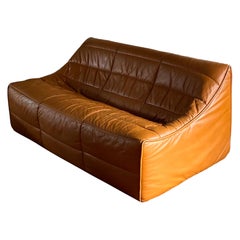 Raro divano in pelle di cammello "Anaïs" di Michel Ducaroy per Ligne Roset, Francia, anni '80