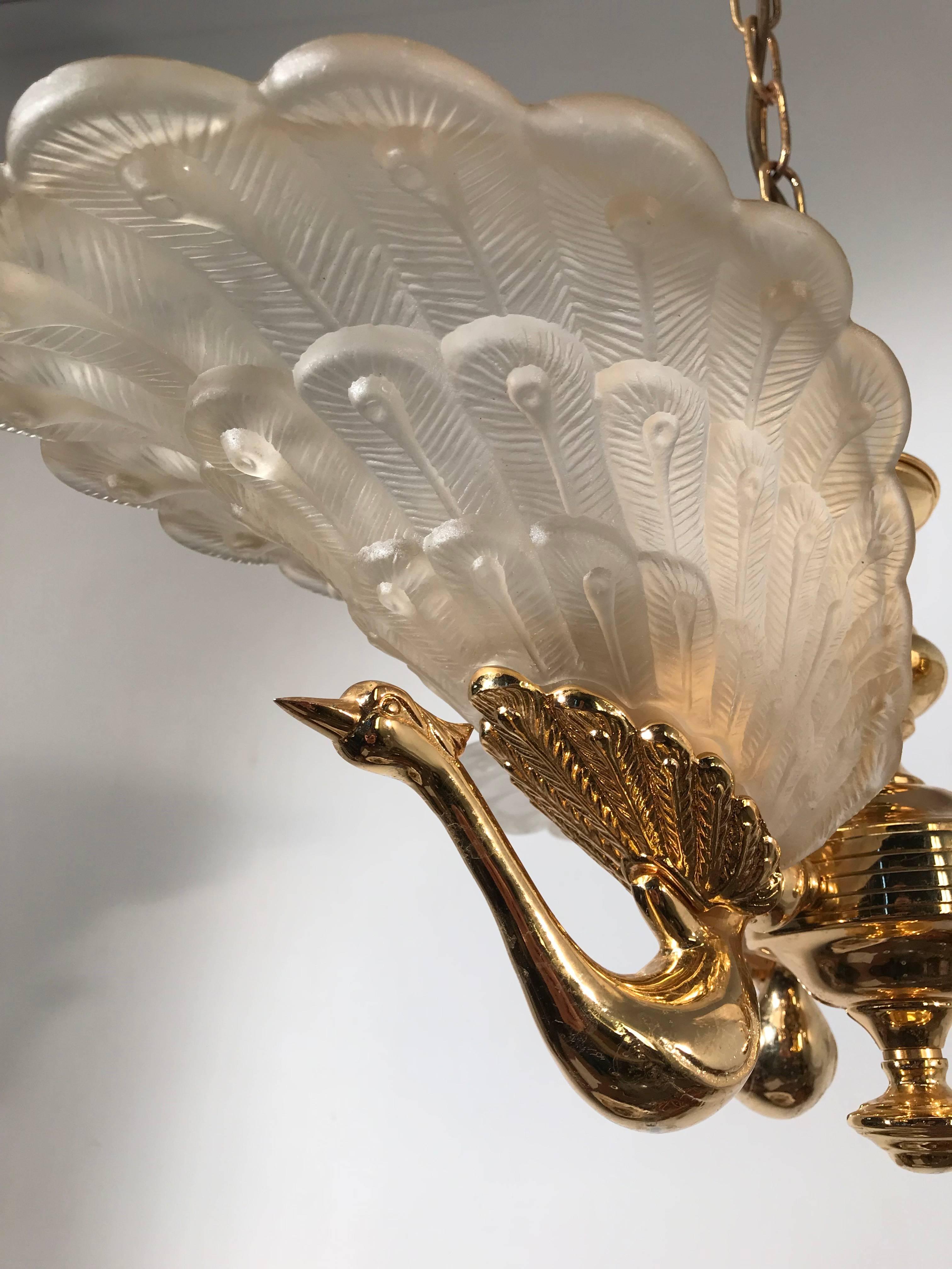 peacock ceiling light