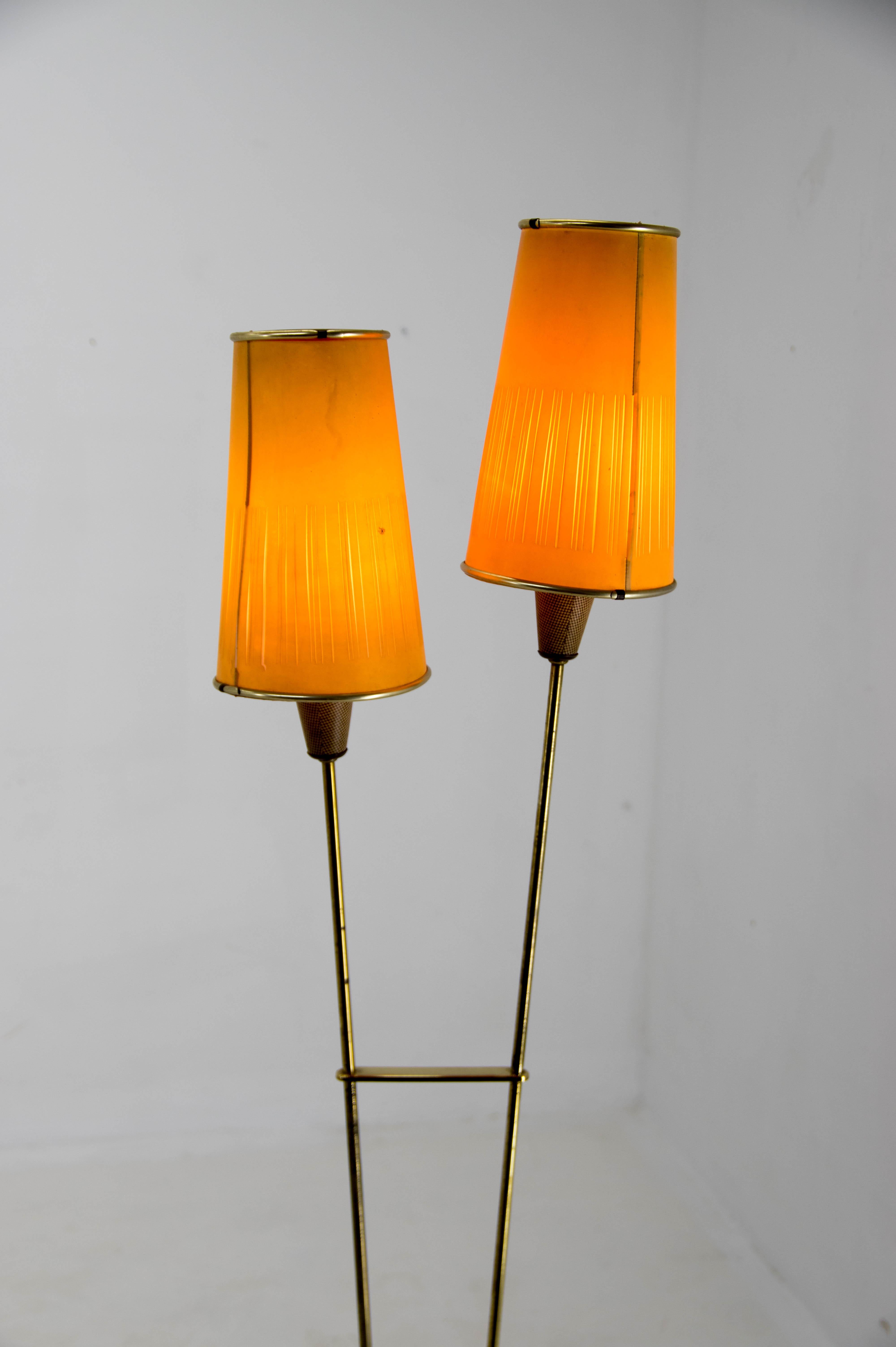 Rare Mid-Century Floor Lamp, 1960s, Czechoslovakia 3