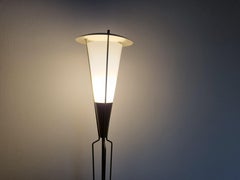 Rare Mid Century Floor Lamp in style of Stilnovo, 1960s