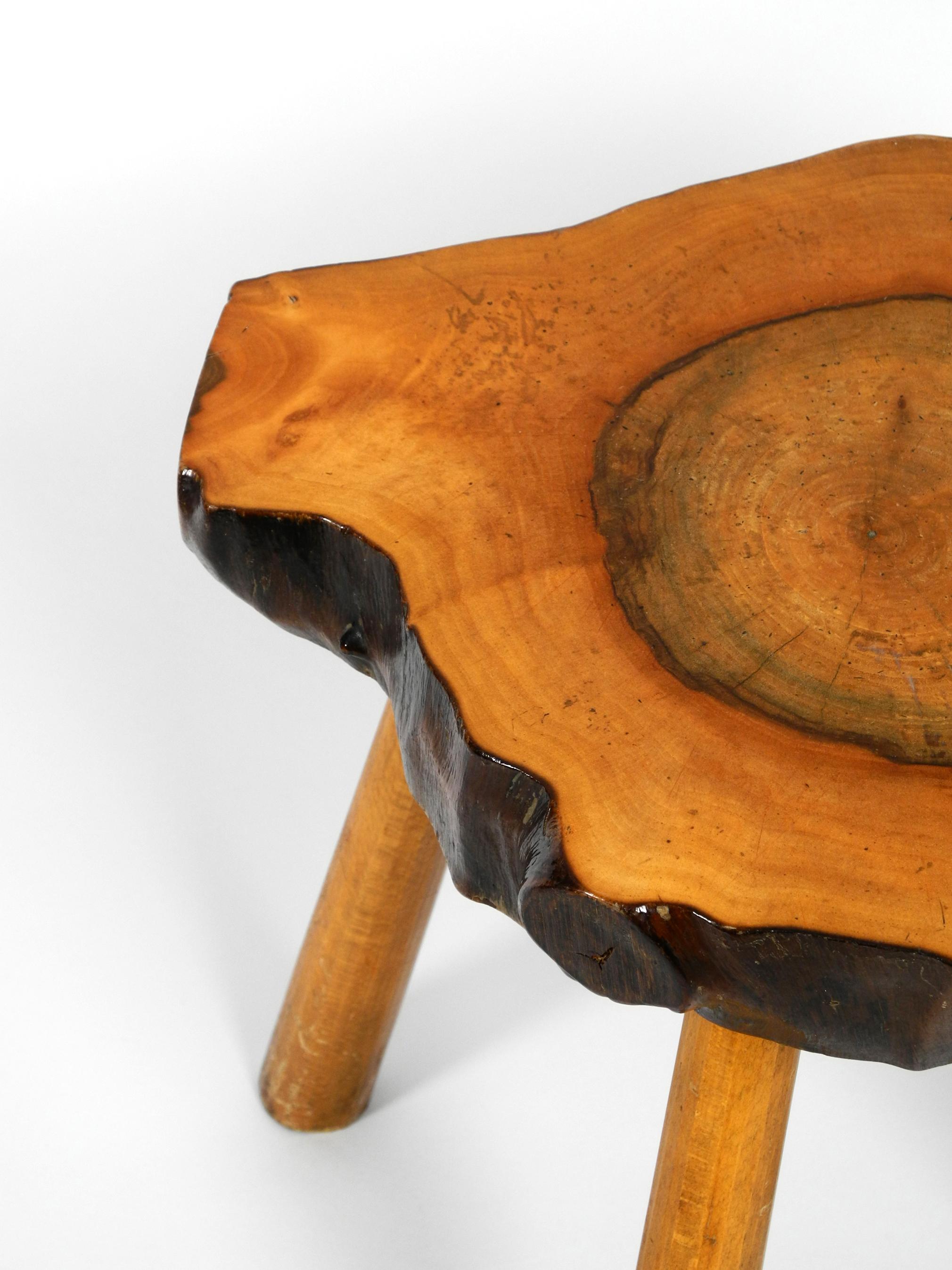 Rare Midcentury Four-Legged Side Table Made of a Thick Tree Slice with Bark 5