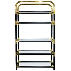 Rare Mid-Century Modern/Hollywood Regency Brass and Glass Bookshelf, 1970s