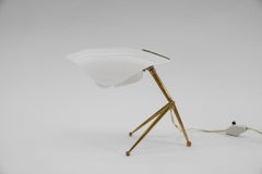 Raras lámparas de mesa modernas de mediados de siglo de WKR Alemania con pantalla de plexiglás