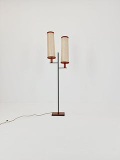 Rare Midcentury Danish floor lamp teak & fiberglass  1960s