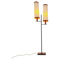 Rare Midcentury Danish floor lamp teak & fiberglass  1960s