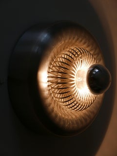Rare Midcentury Modern Sputnik Flushmount or Wall Lamp by Honsel, 1960s, Germany