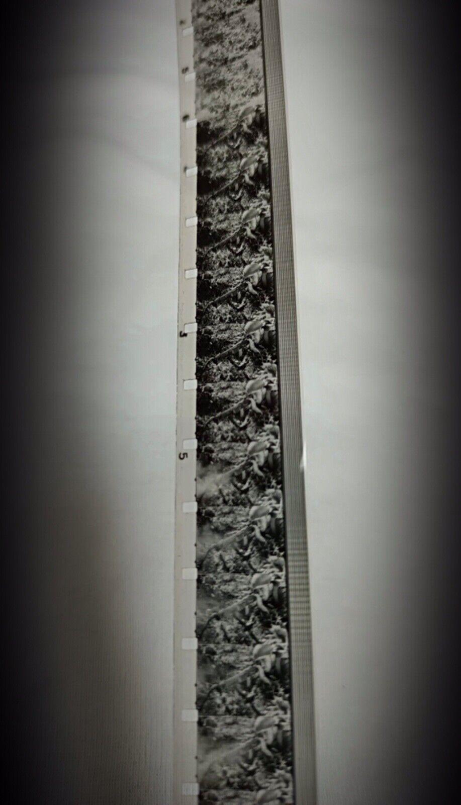 20th Century Rare Military Collection – Vintage Film with Box 