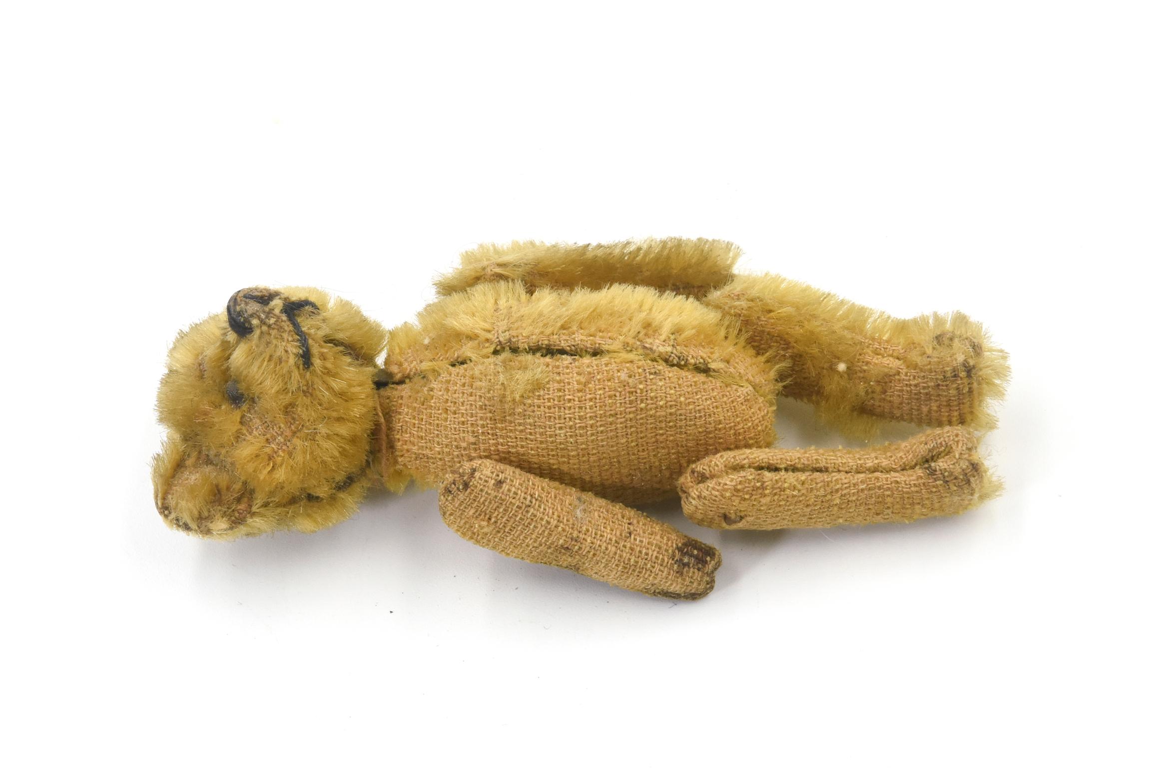 Schuco teddy bear compact, German, 1920s, apricot mohair, black metal bead eyes, black horizontally stitched nose, jointed, opening at torso to reveal mirror, missing powder and puff, mohair threadbare, badly faded, no lip stick