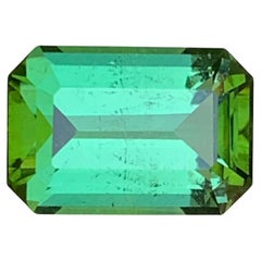 Rare Minty Green Natural Tourmaline Anneau, Pendentif Loose Gemstone 4.85 Ct-Jewelry