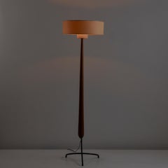 Rare Model 14.958 Floor Lamp by Rispal