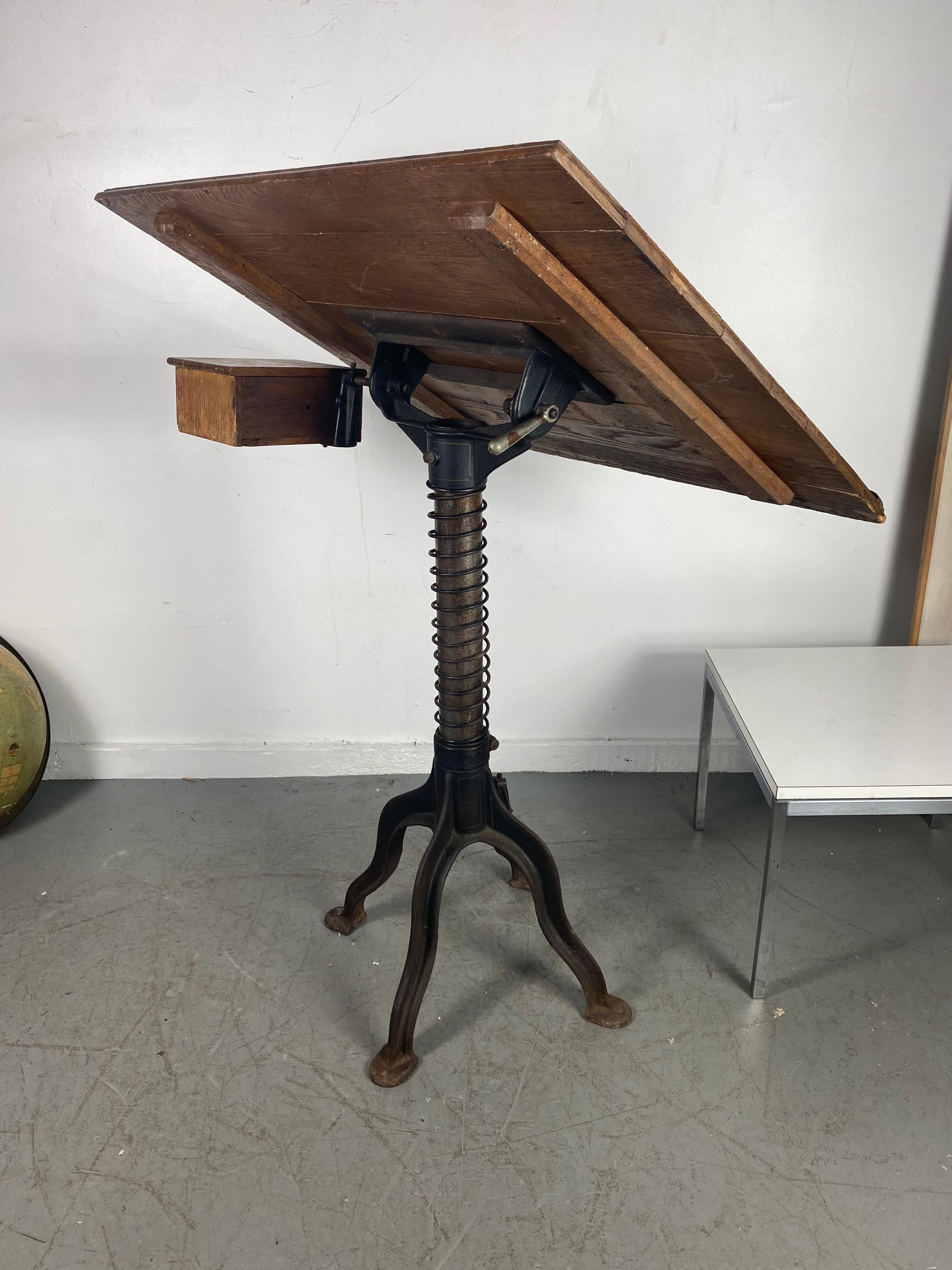seldom wood