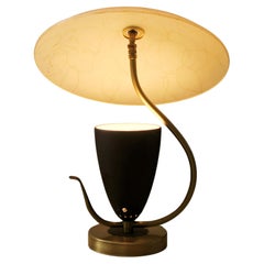 Rare MOSS Articulating Fiberglass Reflector Table Lamp Mid Century Modern 1950s 