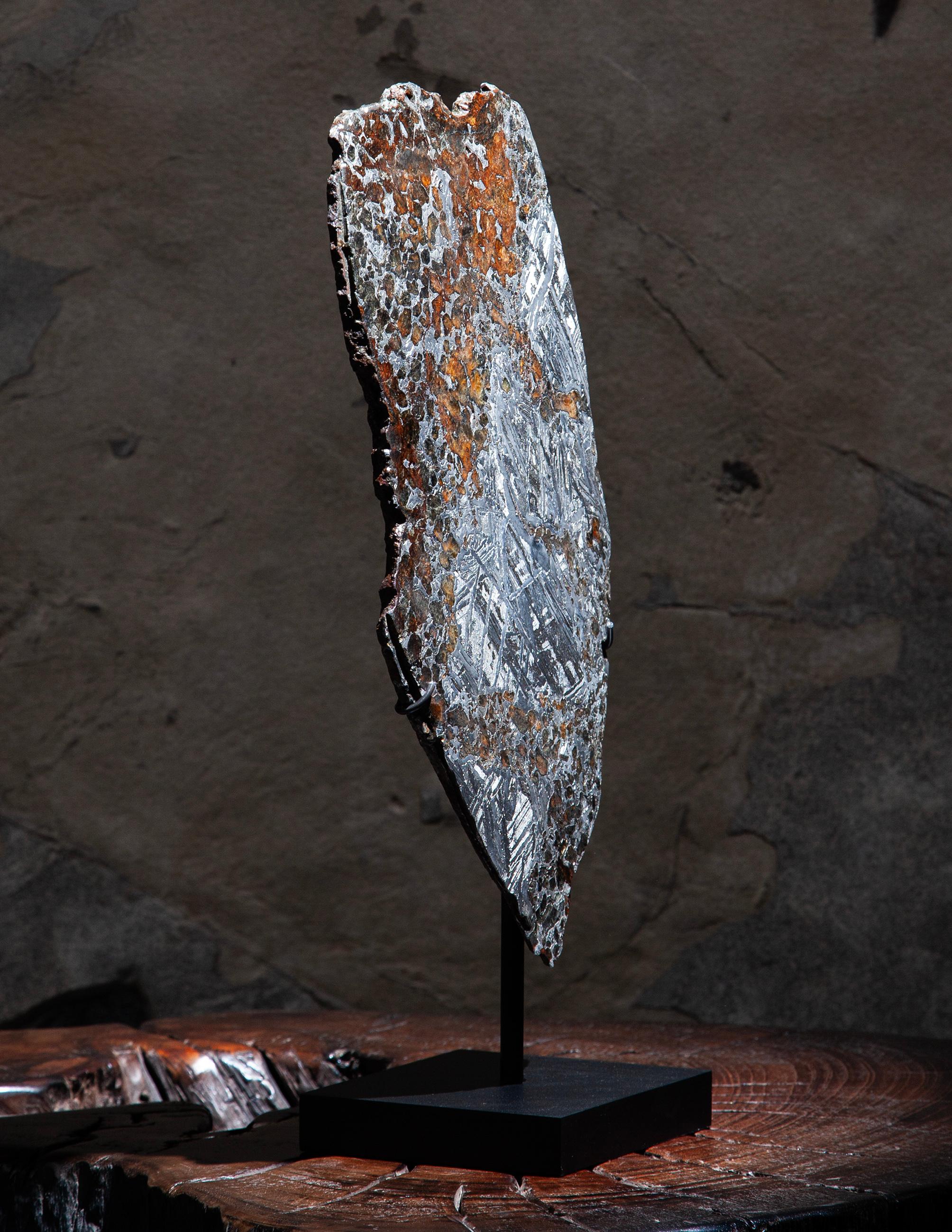 Russo Rare Mounted Pallasite Meteorite Slice in vendita