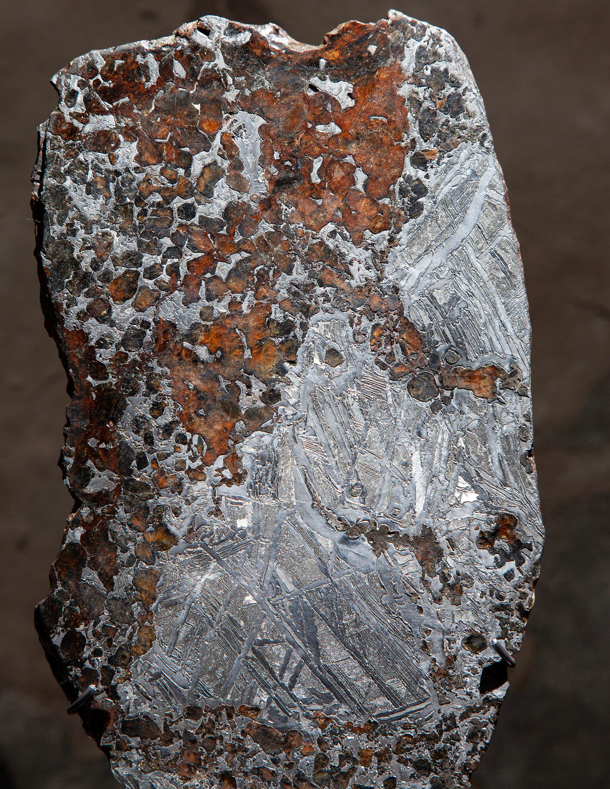 Fino al XVIII secolo Rare Mounted Pallasite Meteorite Slice in vendita
