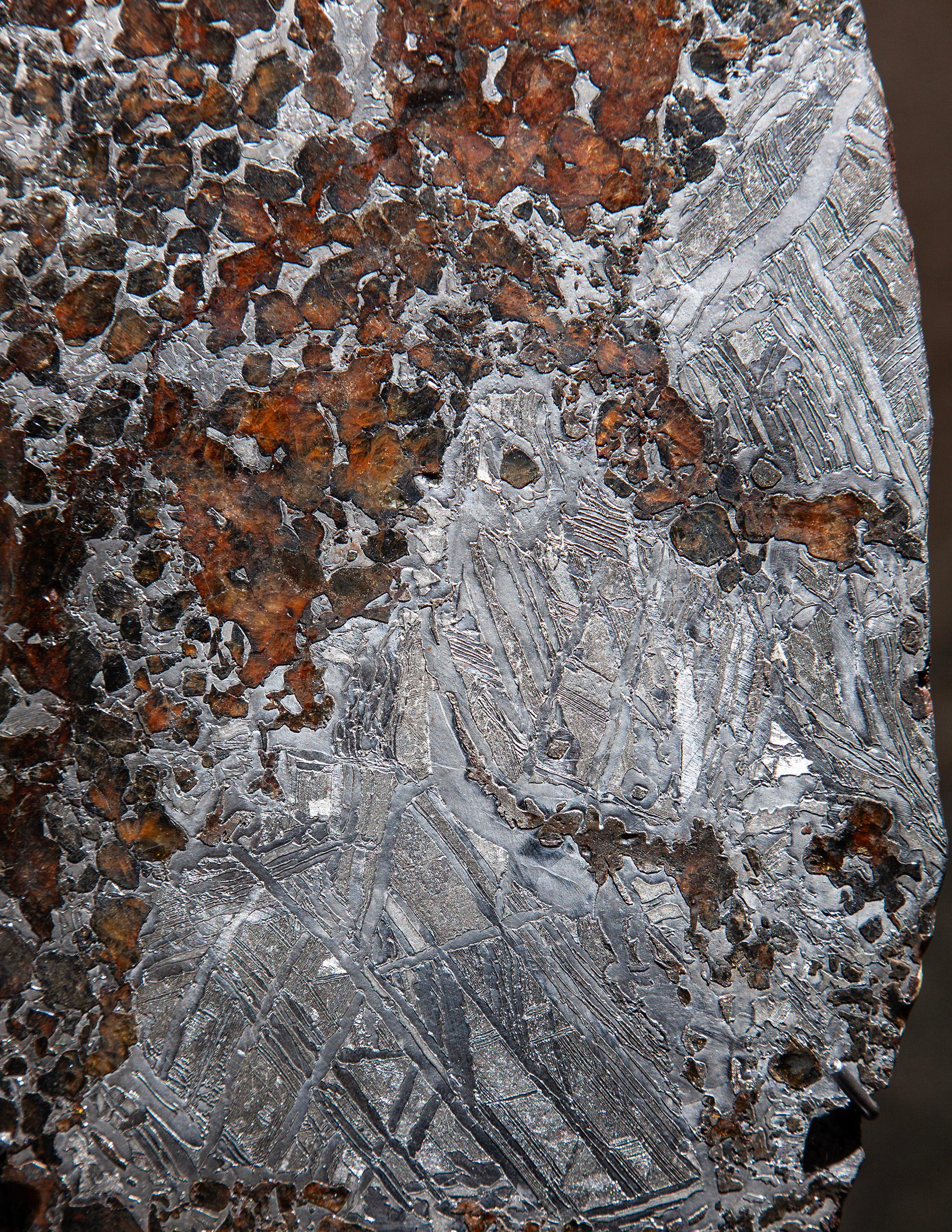 Ferro Rare Mounted Pallasite Meteorite Slice in vendita