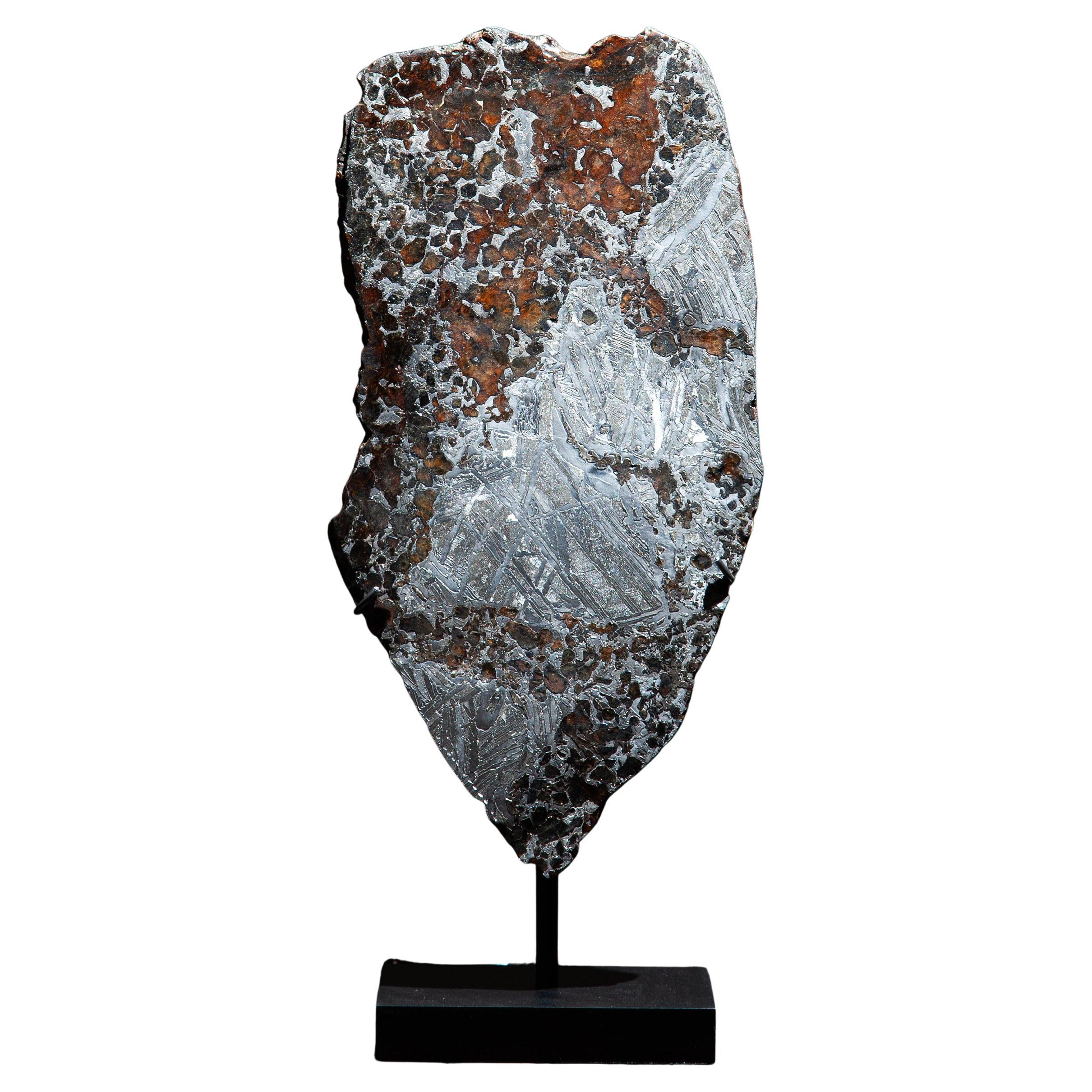 Rare Mounted Pallasite Meteorite Slice