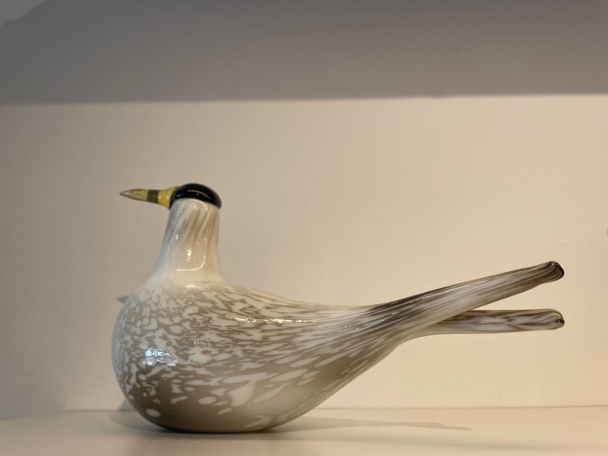 Rare Mounth-Blown Glass Artic Tern by Oiva Toikka for Ittala, 2000. Annual Bird 4