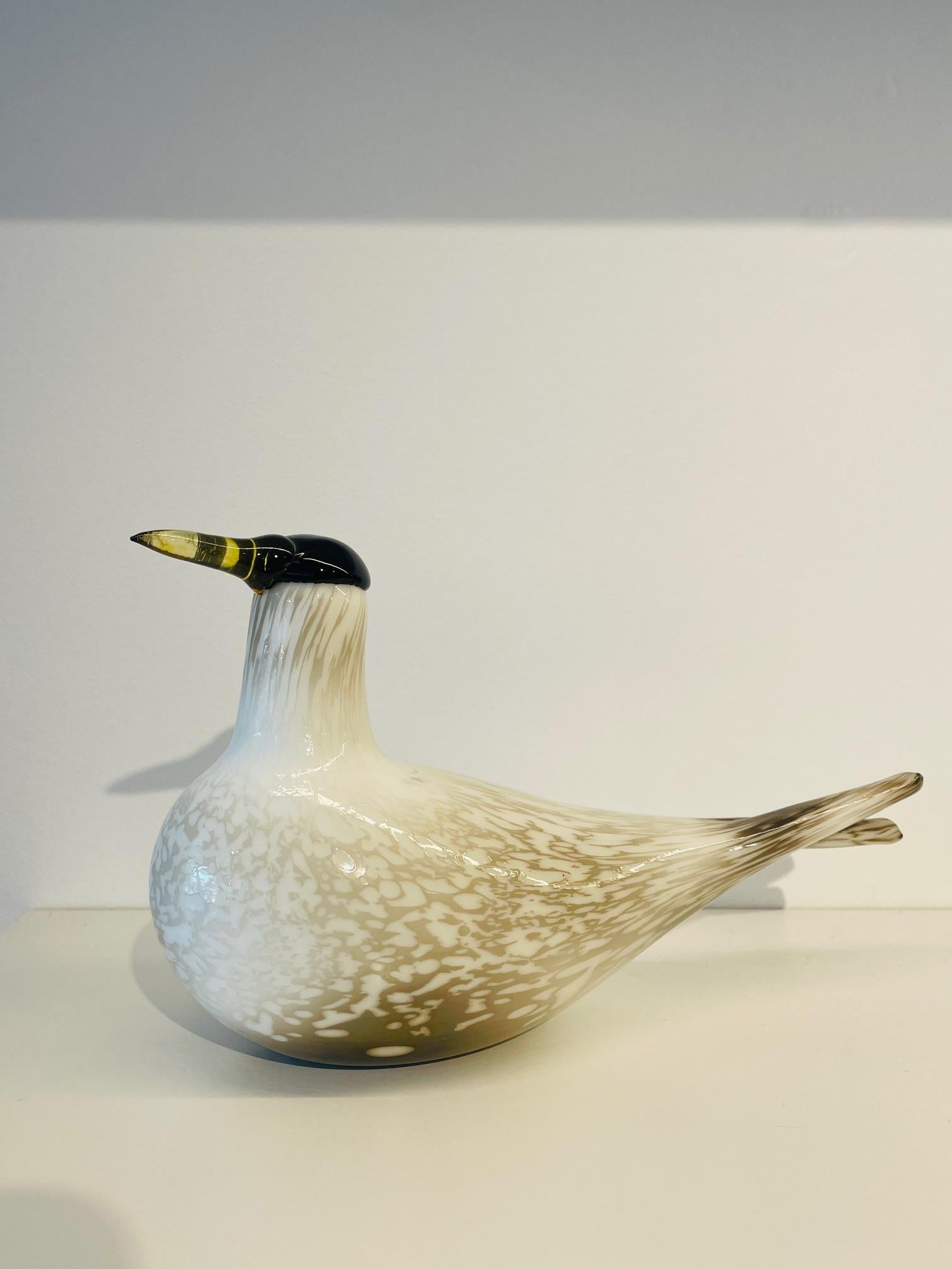 Arctic Tern is the Birds by Toikka annual bird of year 2000 and it is in limited edition.
The split tail and patterned white body give this bird a unique appearance, and the bright yellow beak and black head allow for a pop of color.
It is signed