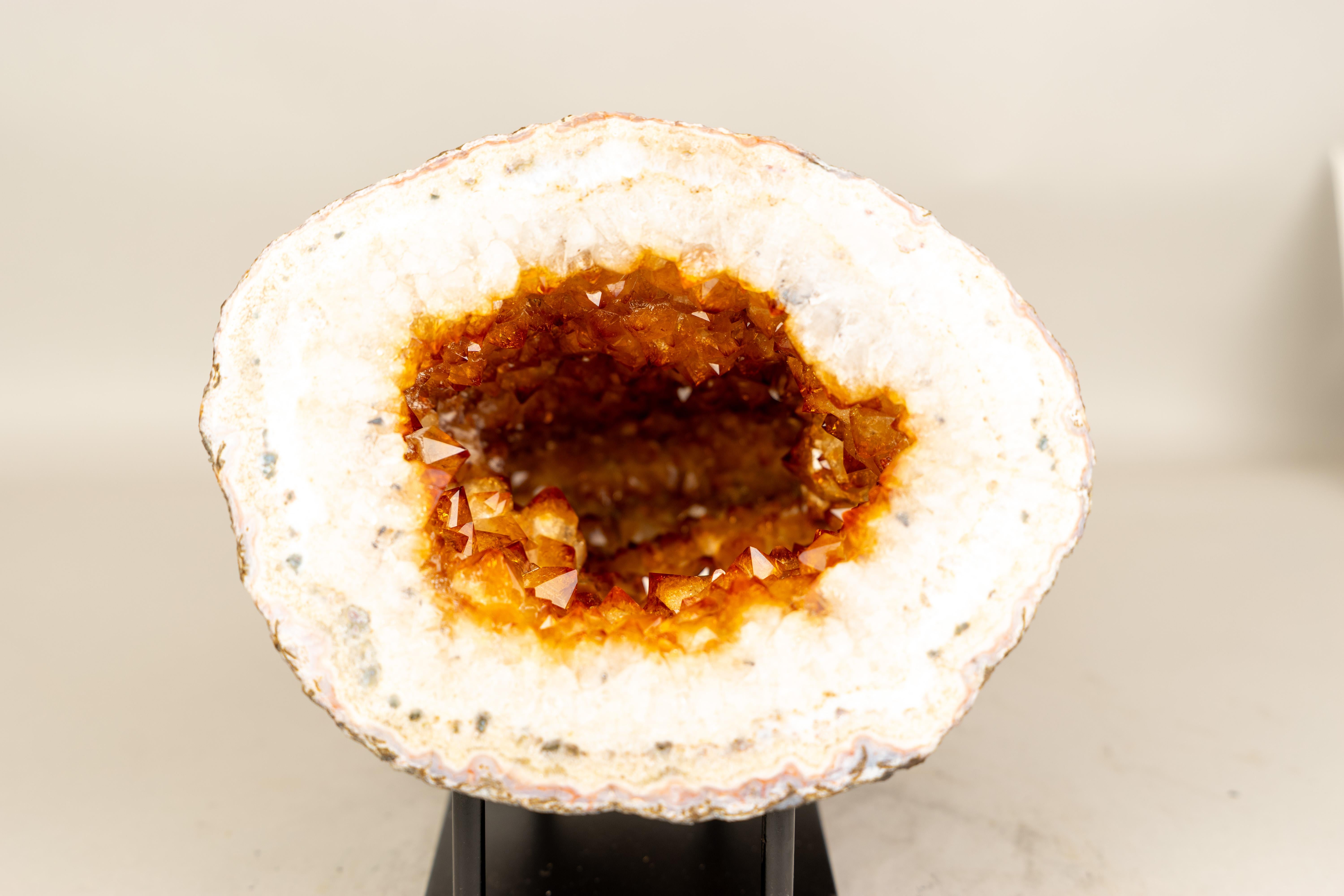 Rare Natural Citrine Geode Cave with Golden-Orange Druzy and White Quartz Frame In New Condition For Sale In Ametista Do Sul, BR