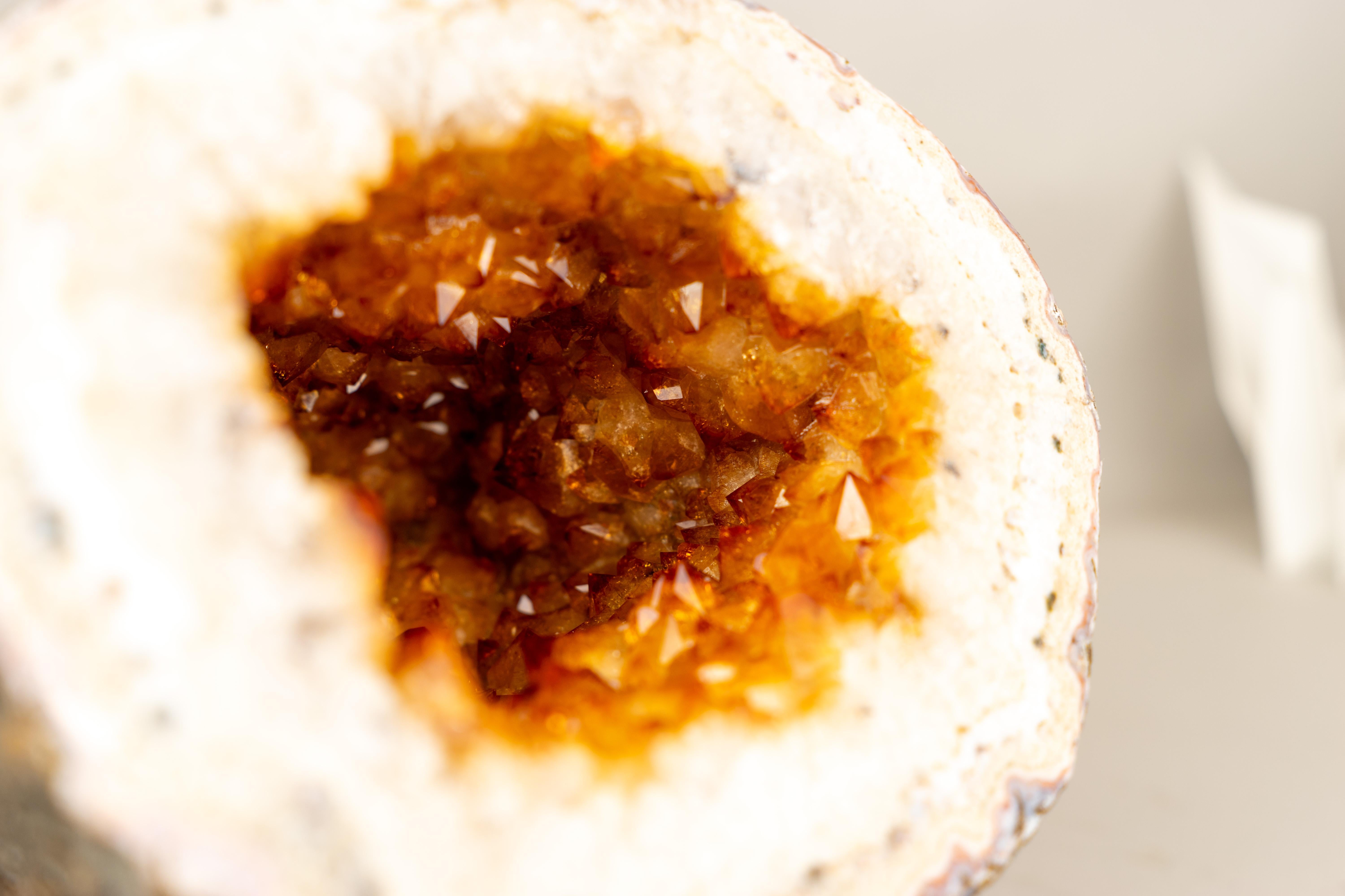 Rare Natural Citrine Geode Cave with Golden-Orange Druzy and White Quartz Frame For Sale 1