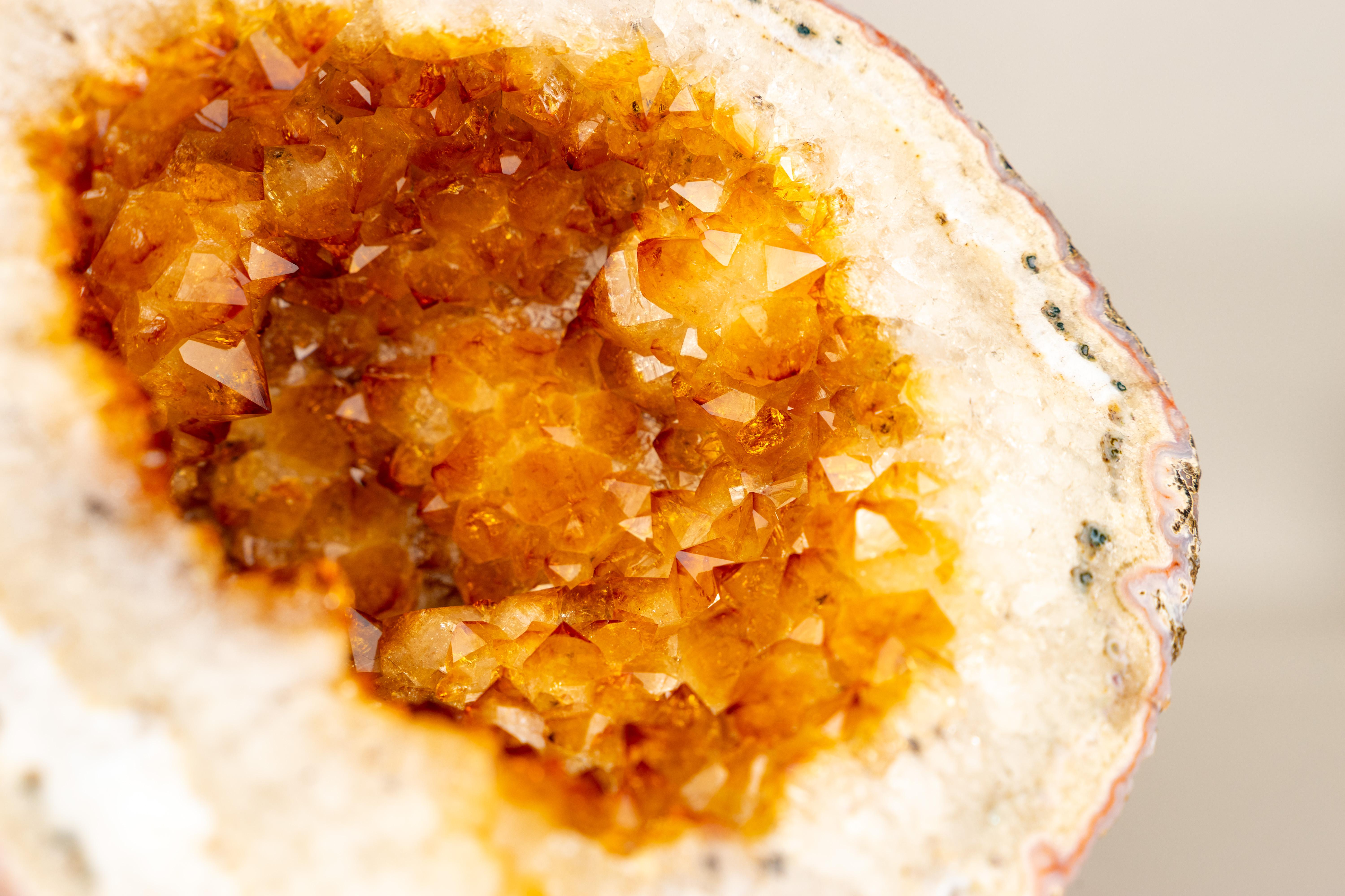 Seltene natürliche Citrin-Geode mit gold-orangefarbenem Druzy und Blumenrosetten im Angebot 4