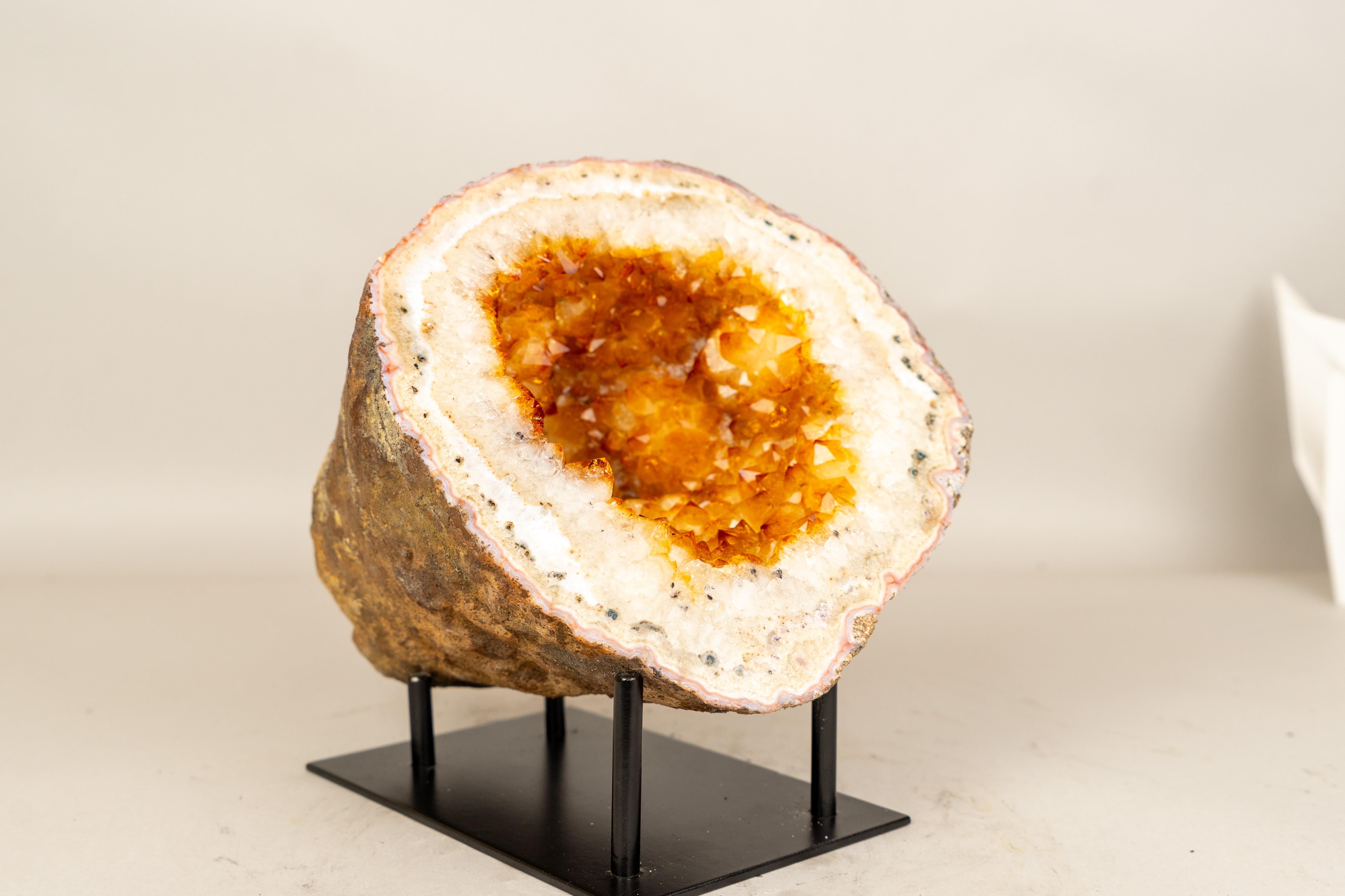 Seltene natürliche Citrin-Geode mit gold-orangefarbenem Druzy und Blumenrosetten im Angebot 5